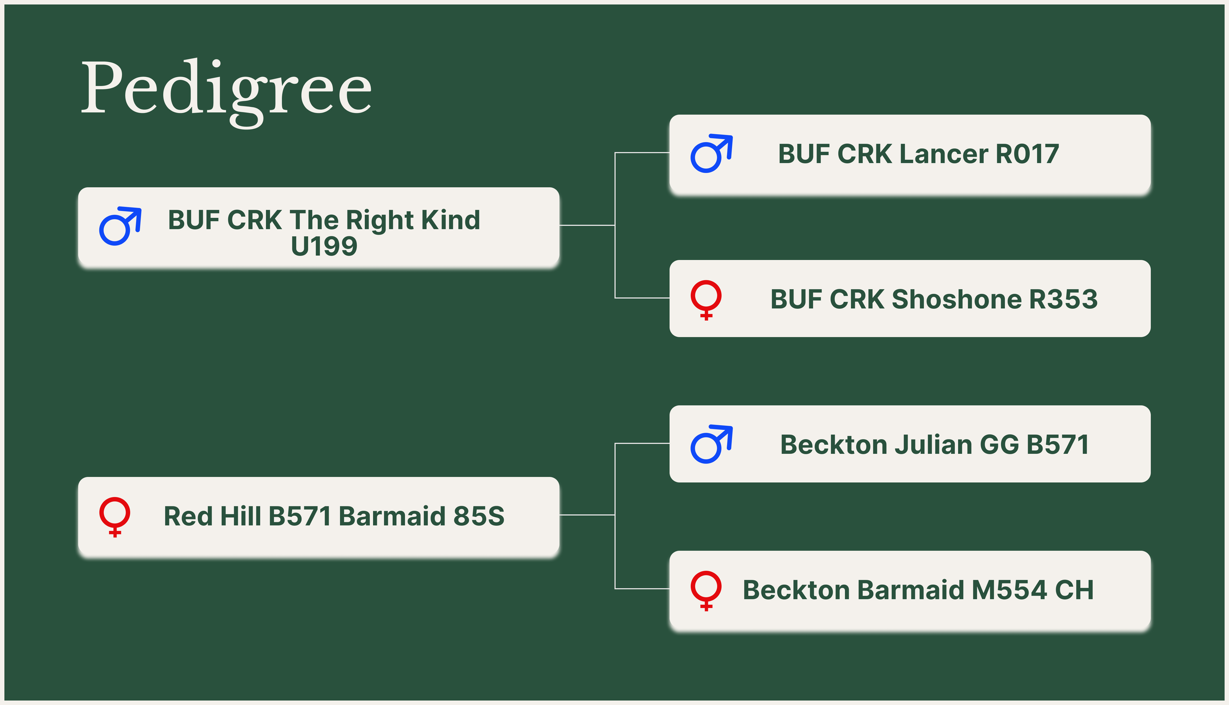 RHF - BUF U199 Lancer 157Ypedigree.png