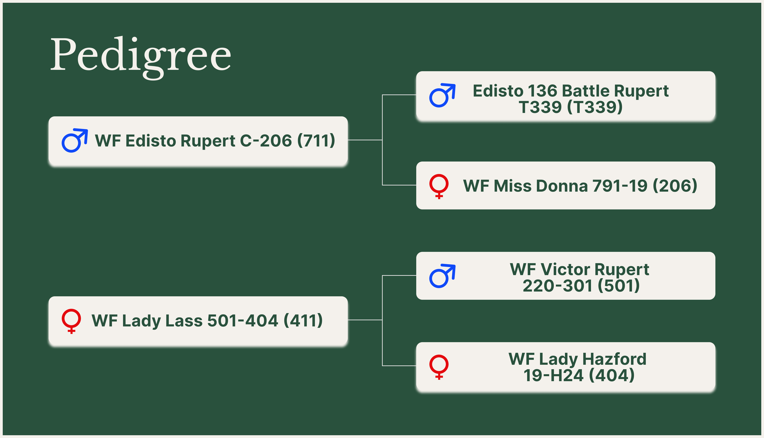 WF Edisto Plato 711-411 (914)pedigree.png