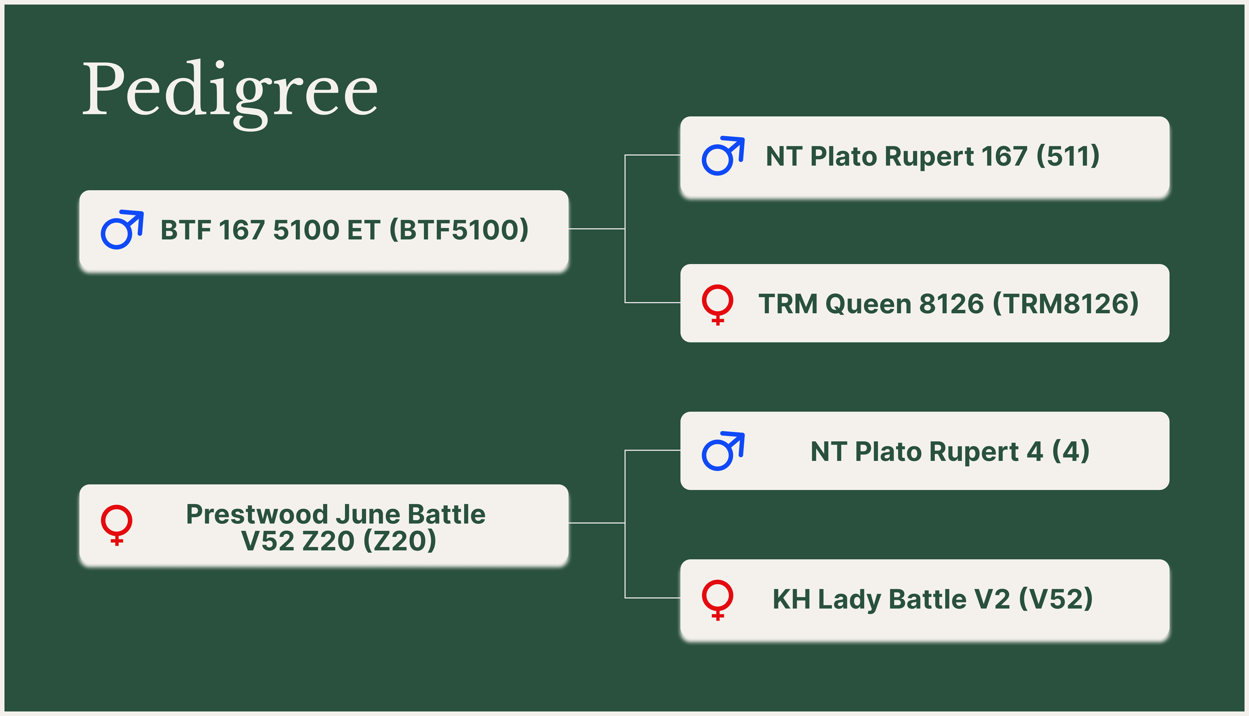 McKnight 345L ETpedigree.png