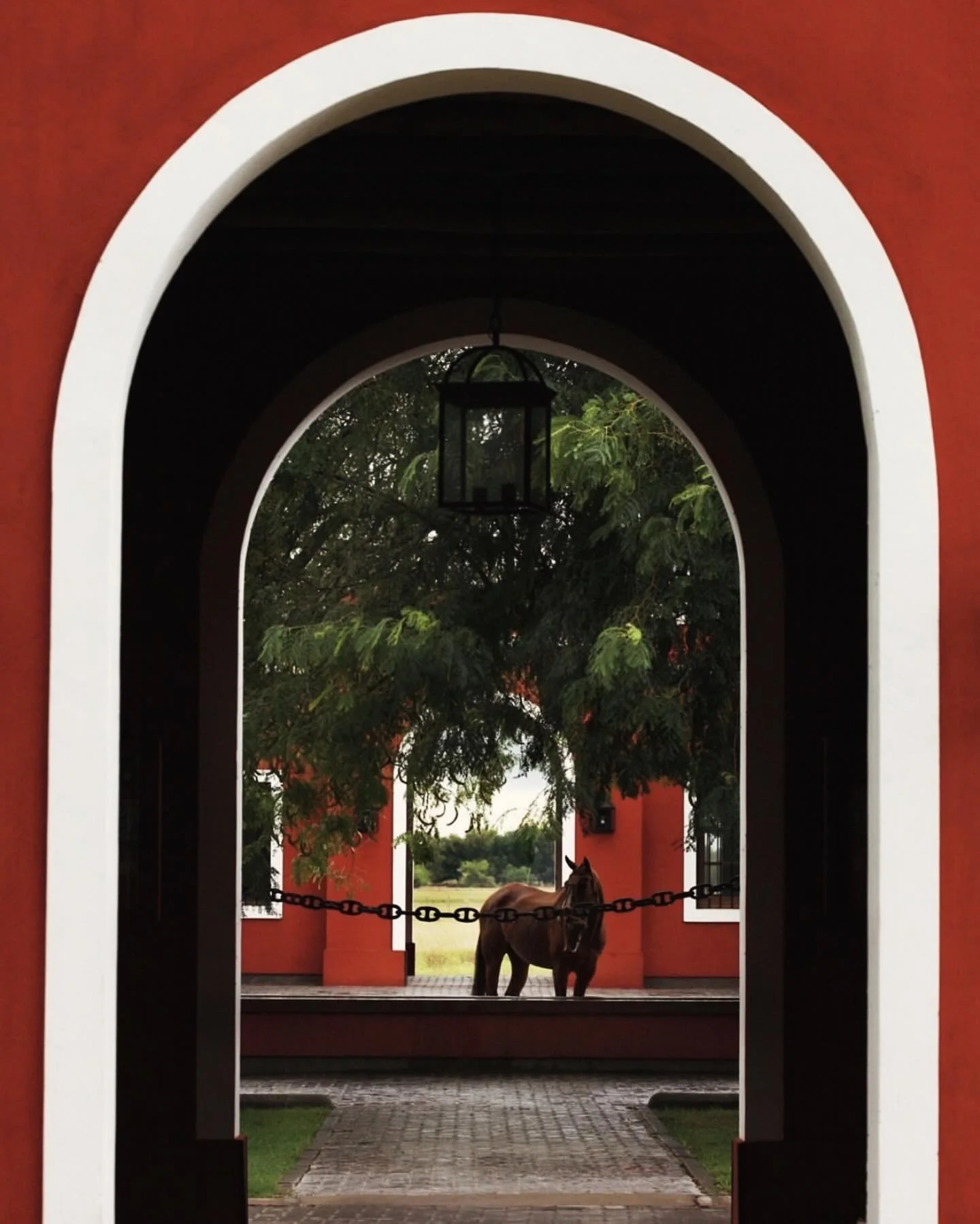 San Antonio 🐎 #argentina @labambadeareco