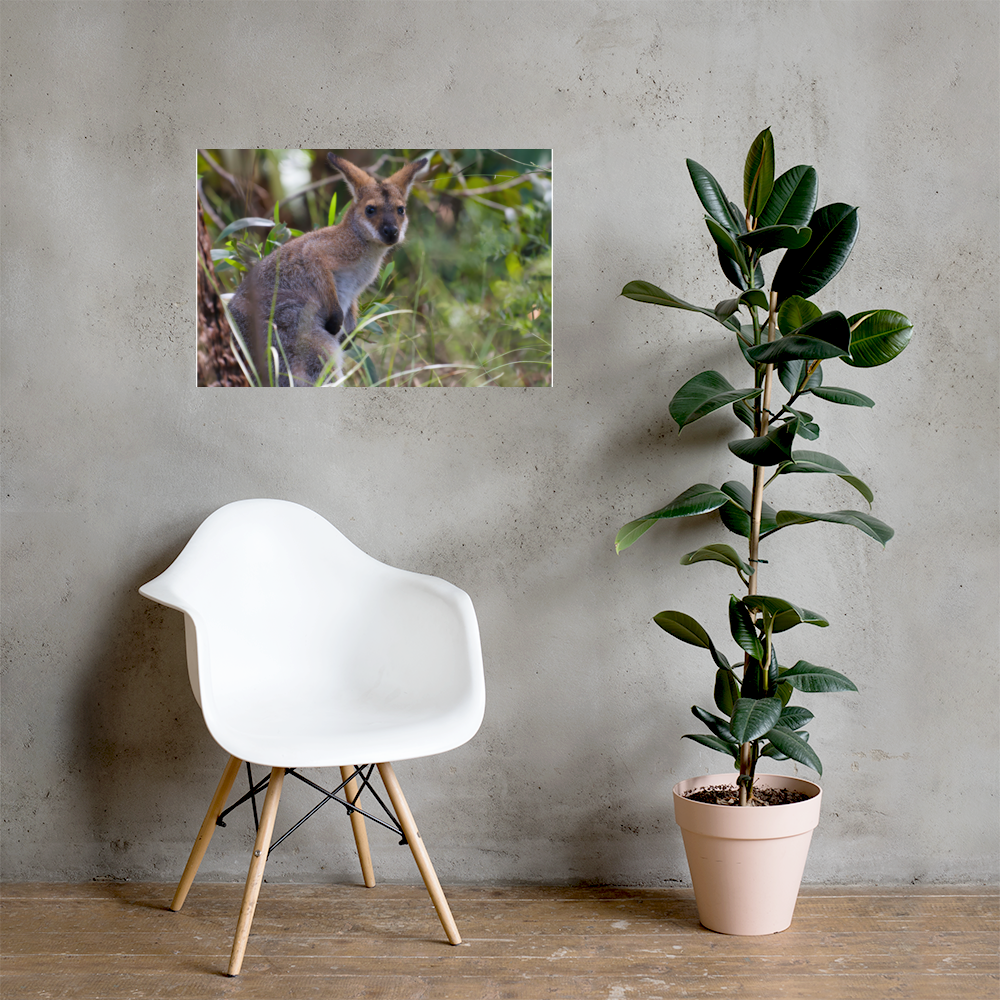 premium-luster-photo-paper-poster-(in)-20x30-lifestyle-1-69e3a8b0dda7a.png