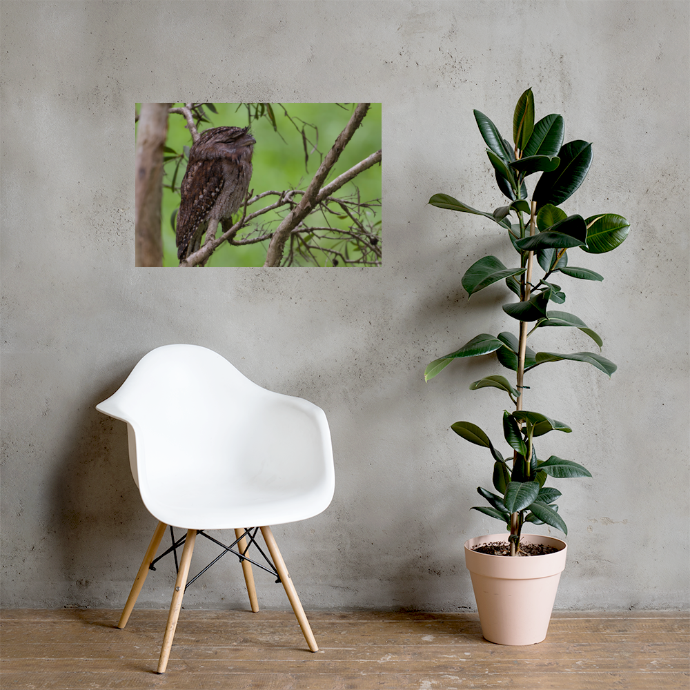 premium-luster-photo-paper-poster-(in)-20x30-lifestyle-1-69e4fb8bb7a67.png