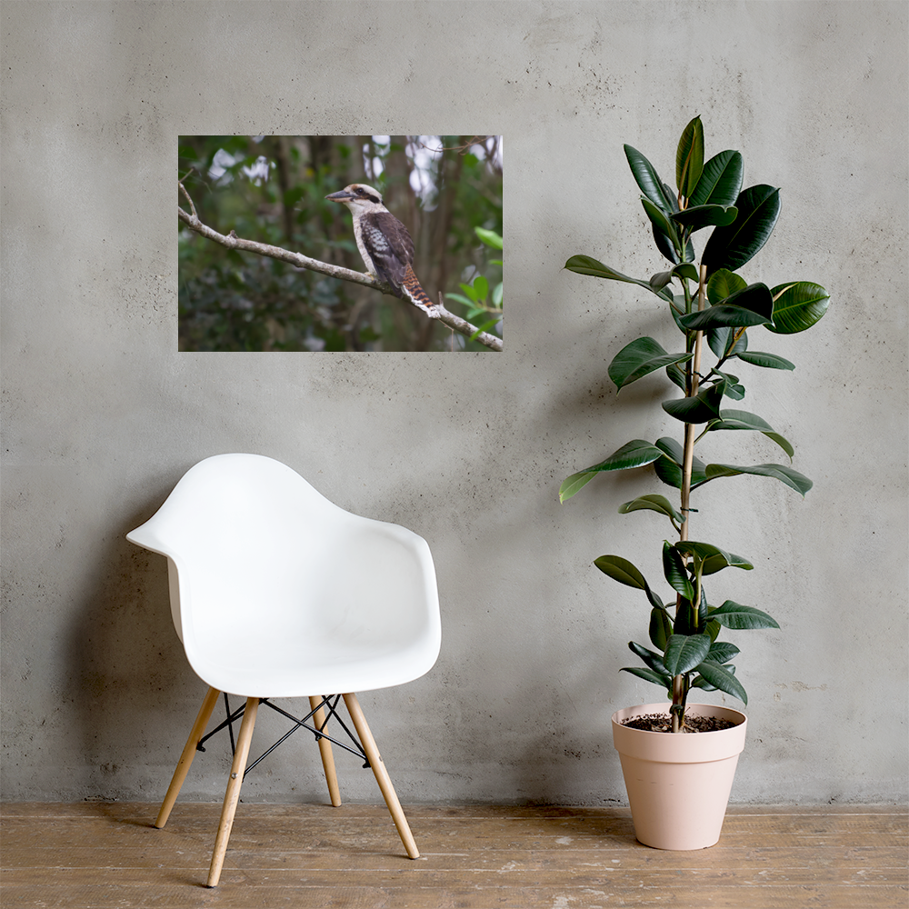 premium-luster-photo-paper-poster-(in)-20x30-lifestyle-1-69e7dd2aee9ef.png