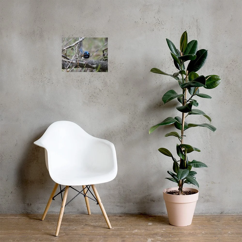 premium-luster-photo-paper-poster-(in)-12x16-lifestyle-1-69ea32a9d2e57.jpg