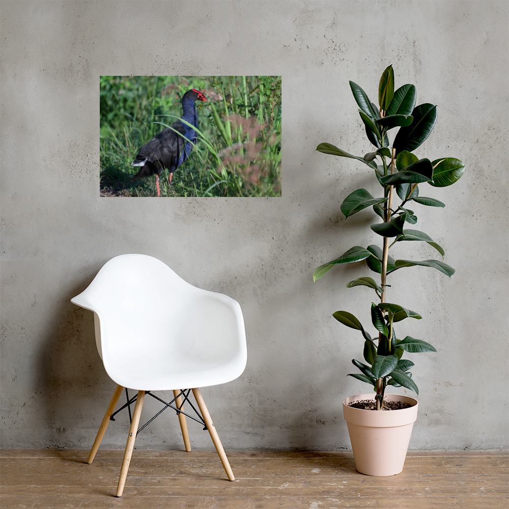 premium-luster-photo-paper-poster-(in)-20x30-lifestyle-1-69f21e5d67b32.png
