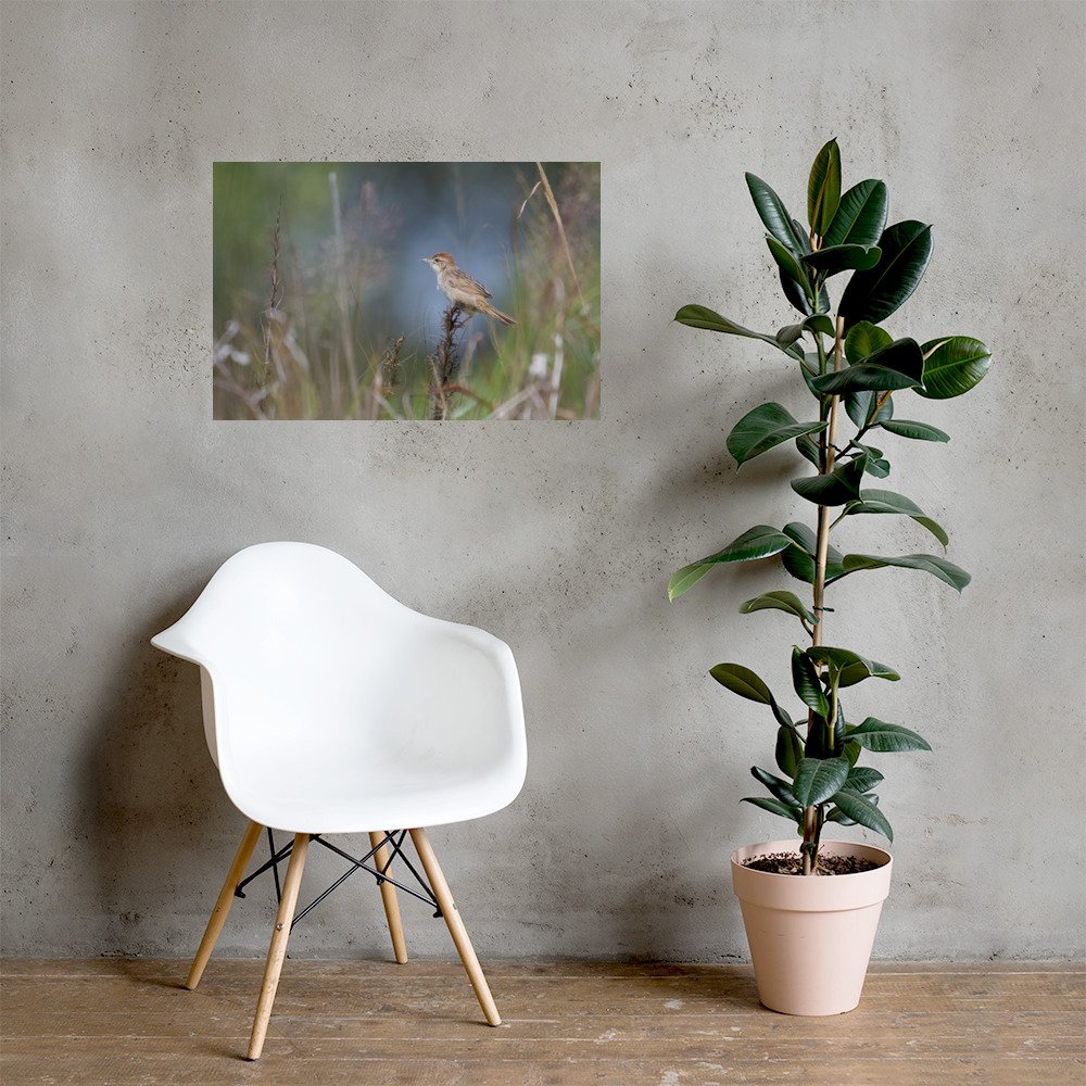 premium-luster-photo-paper-poster-(in)-20x30-lifestyle-1-69f9e7a0636ea.jpg