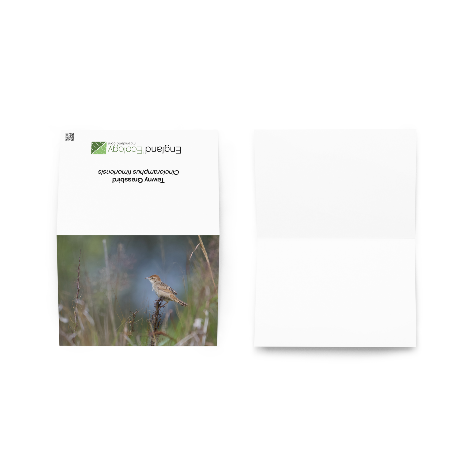 greeting-card-5x7-front-69f9e8241d80b.png