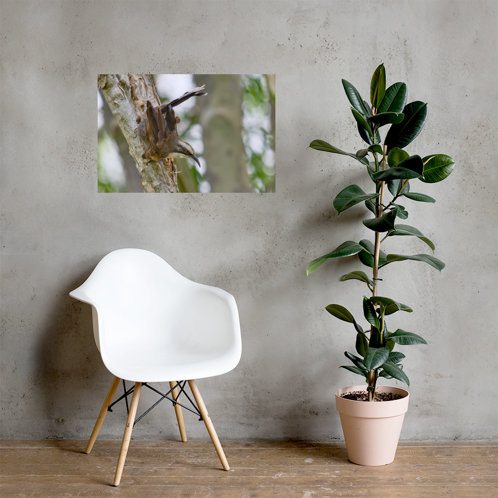 premium-luster-photo-paper-poster-(in)-20x30-lifestyle-1-69fb62e7a52af.png