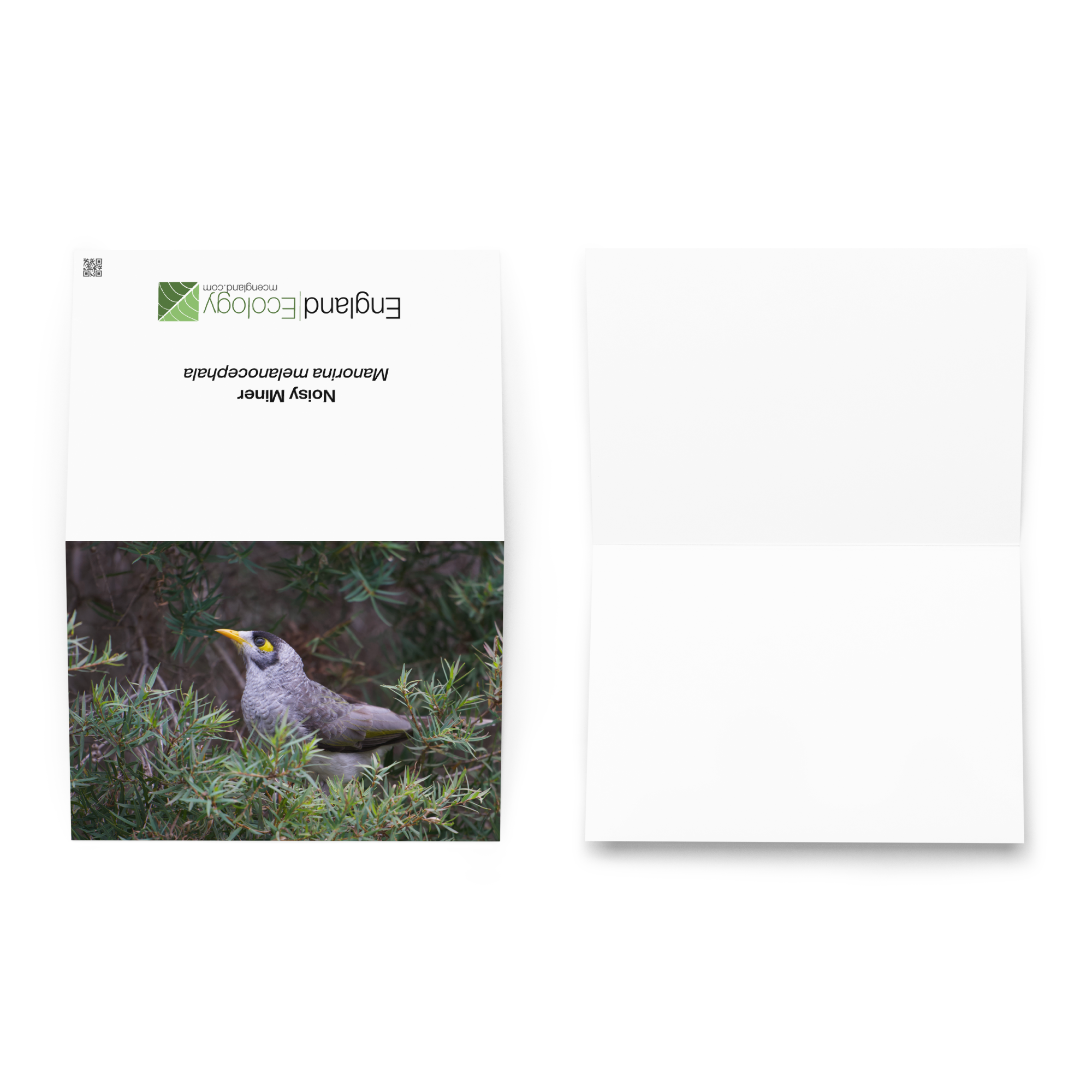 greeting-card-5.83x8.27-front-69fcd20a264a9.png