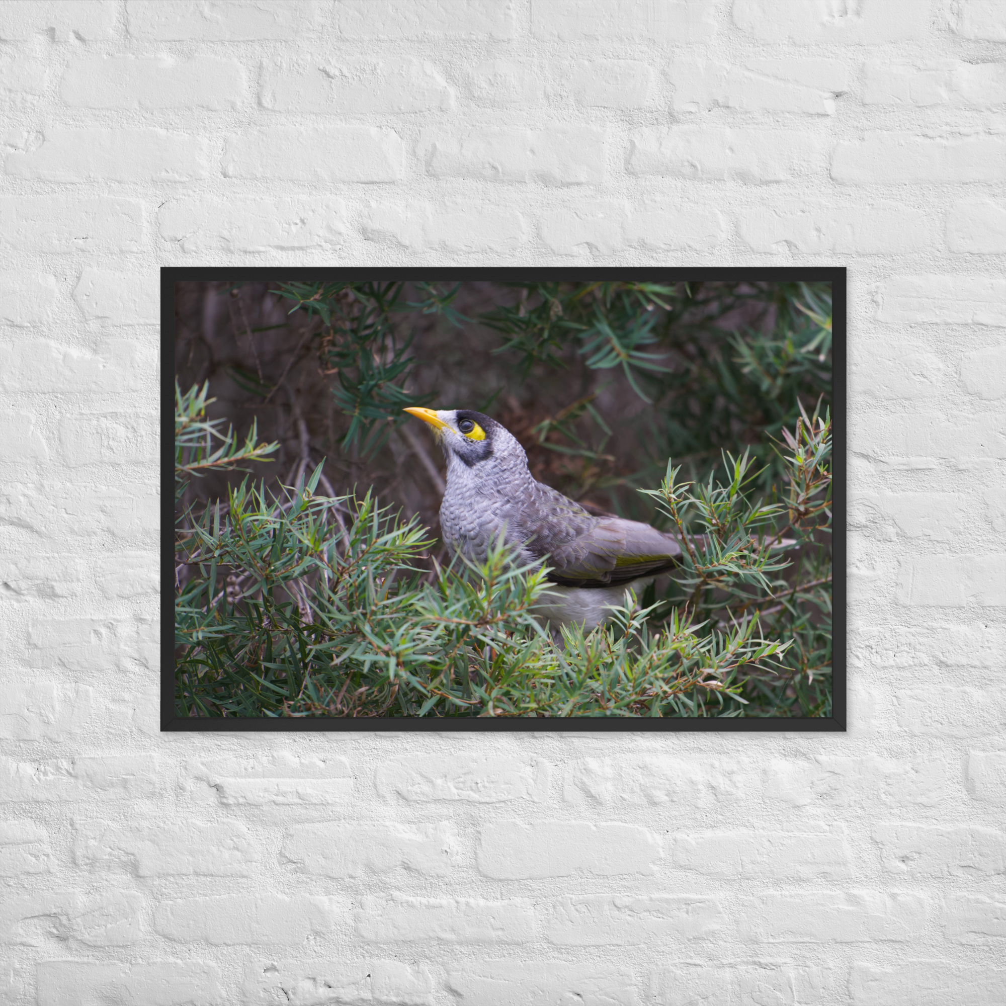 enhanced-matte-paper-framed-poster-(in)-black-24x36-front-69fcd5e5e565b.png