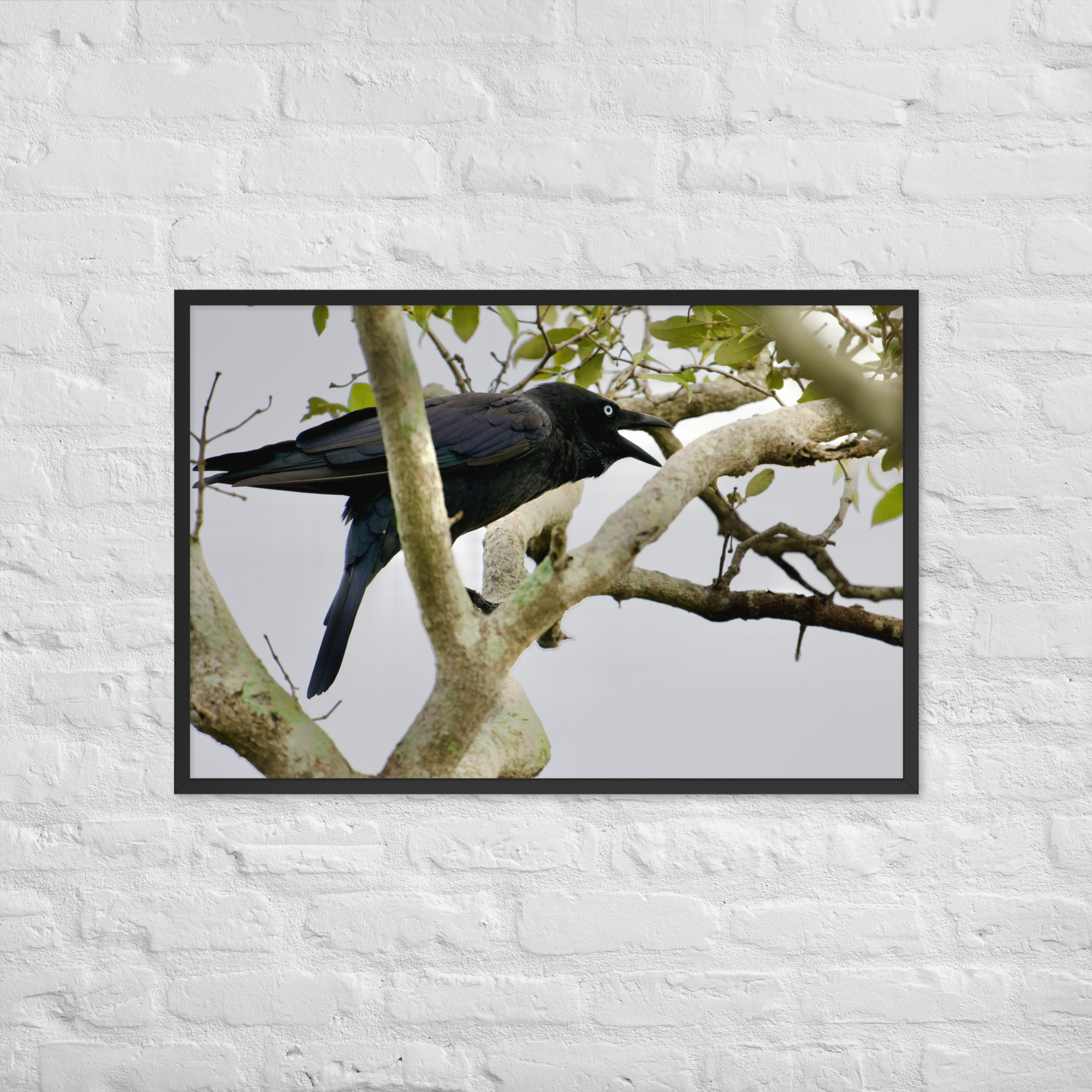 enhanced-matte-paper-framed-poster-(in)-black-24x36-front-6a033f4fd5c28.png