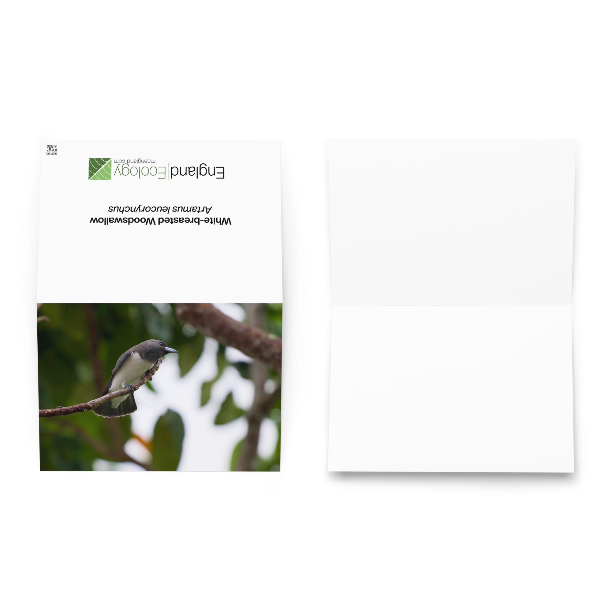 greeting-card-5.83x8.27-front-6a048f221cac6.png