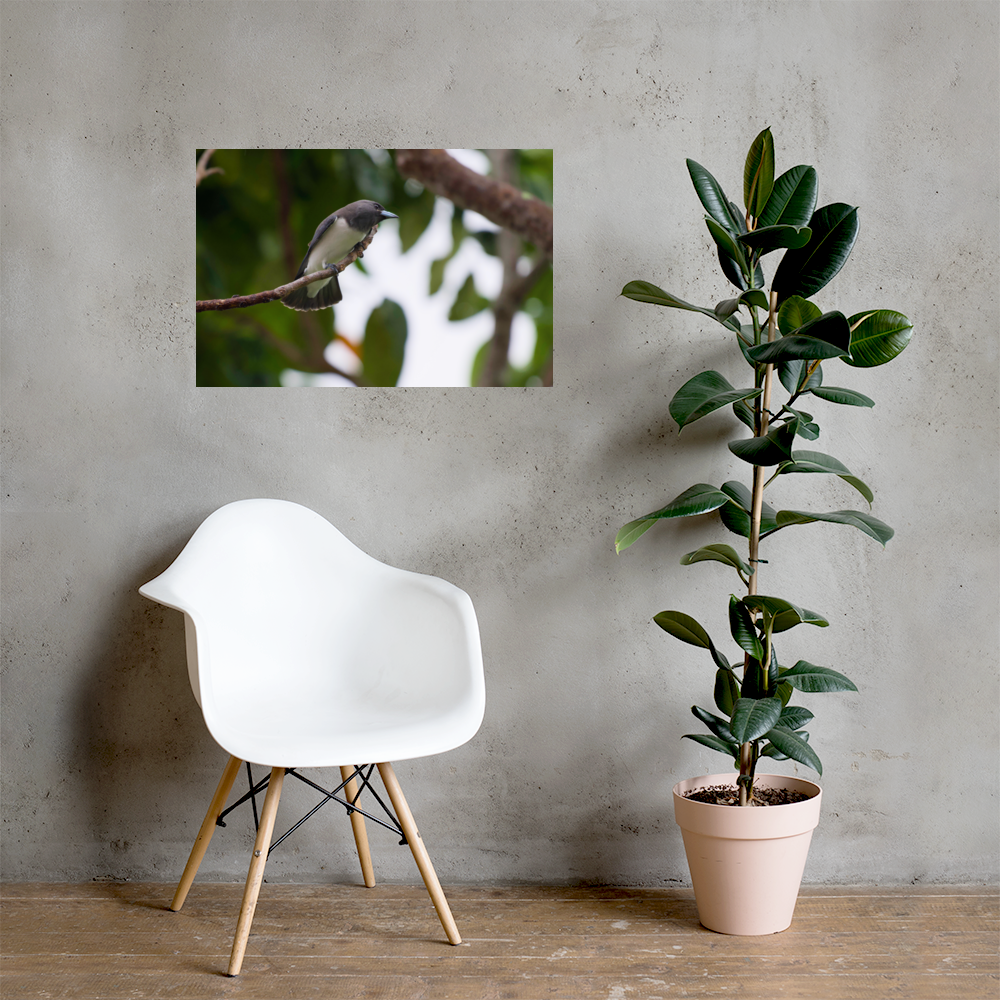 enhanced-matte-paper-poster-(in)-20x30-lifestyle-1-6a048f9664351.png