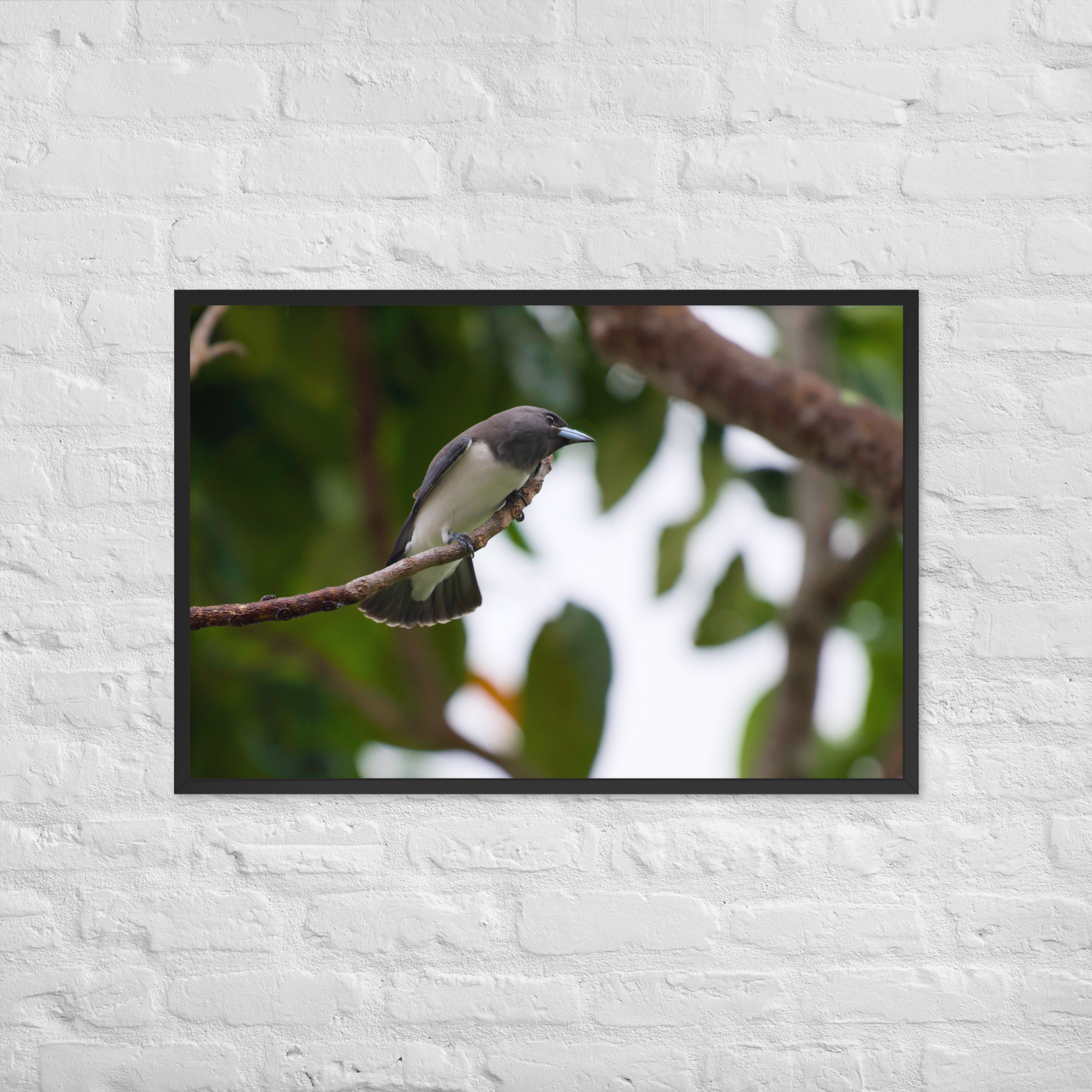 enhanced-matte-paper-framed-poster-(in)-black-24x36-front-6a049029a0f6d.png