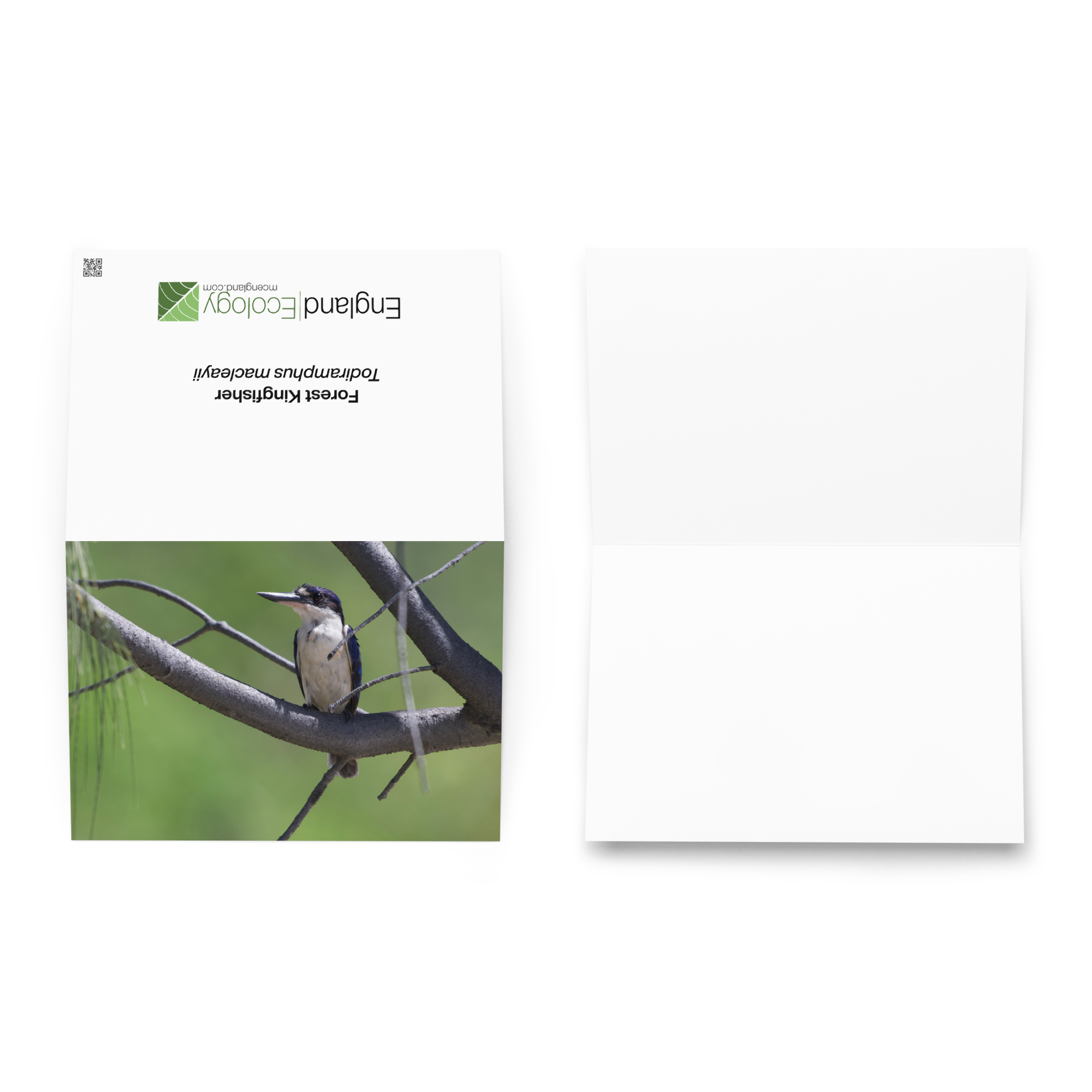 greeting-card-5.83x8.27-front-6a0729f064ea8.png