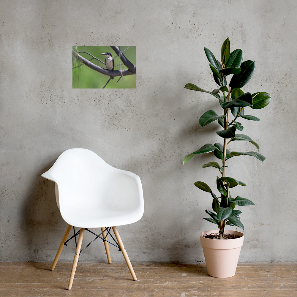 enhanced-matte-paper-poster-(in)-12x18-lifestyle-1-6a072a6c52914.png