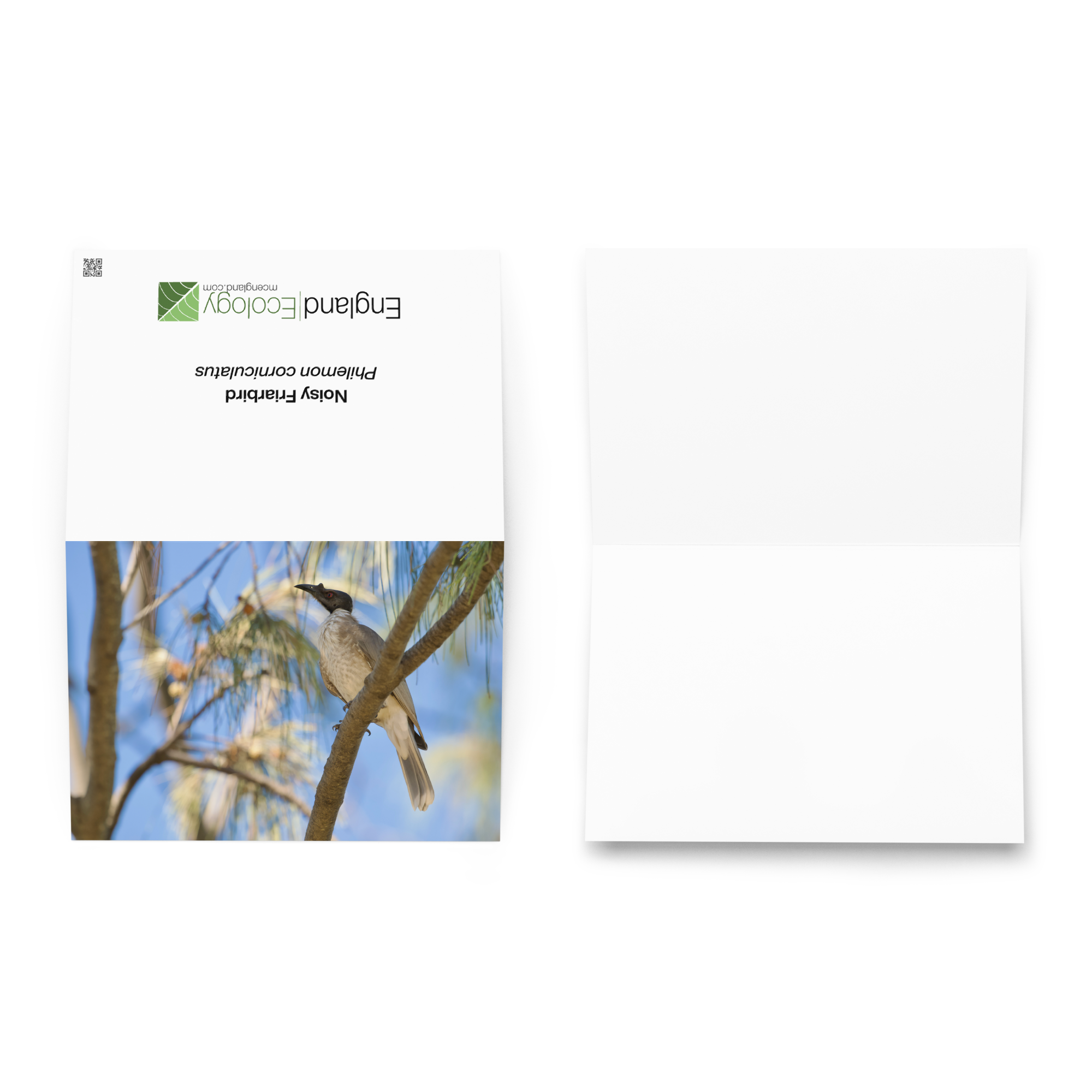 greeting-card-5.83x8.27-front-6a072daaae980.png