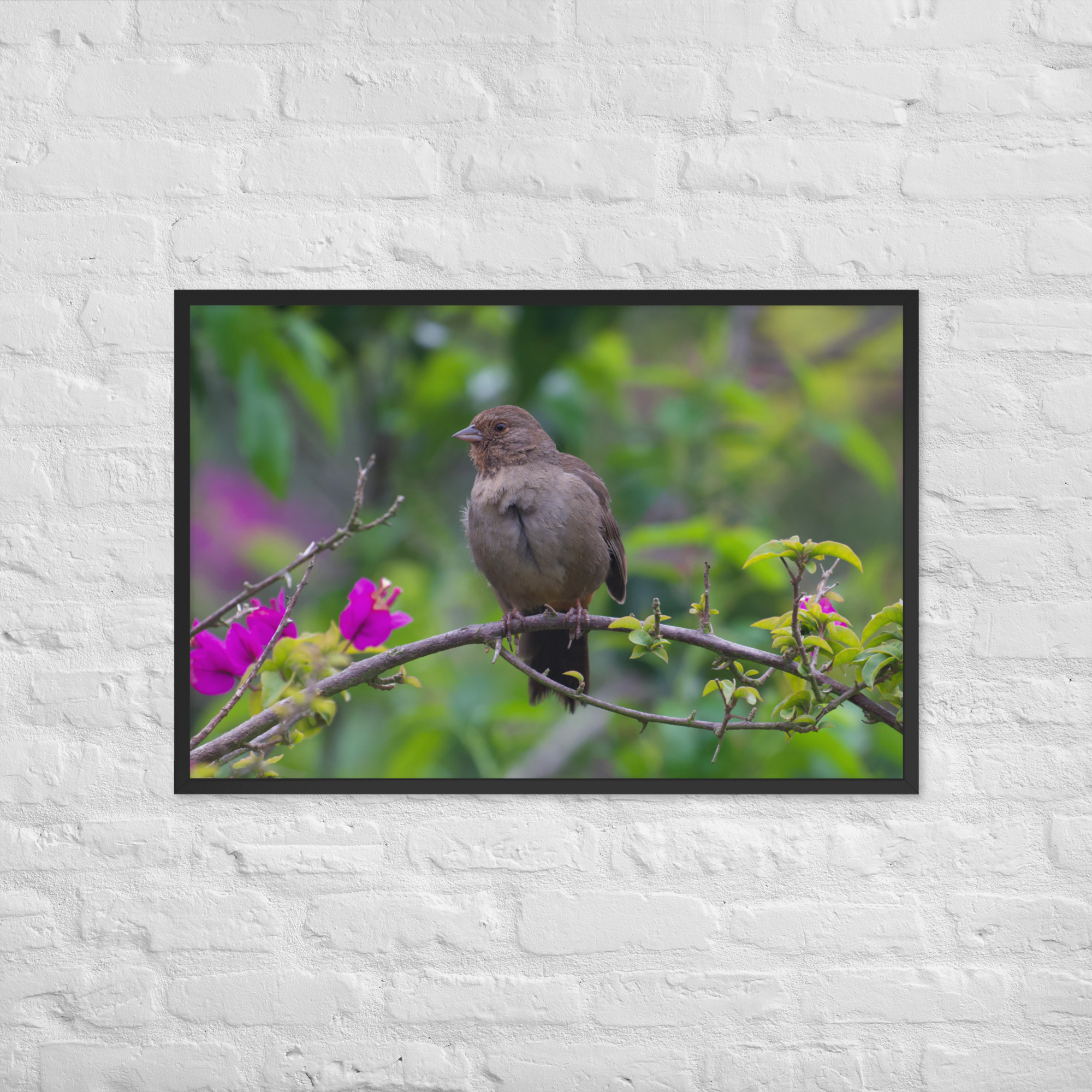 enhanced-matte-paper-framed-poster-(in)-black-24x36-front-6a31a26133200.png