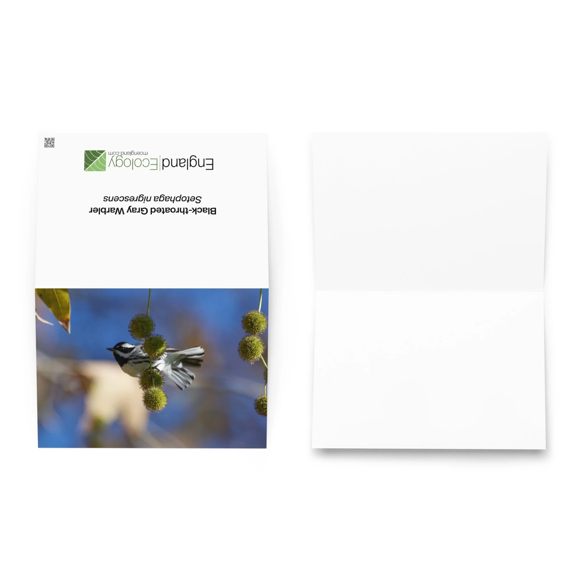 greeting-card-5.83x8.27-front-6a34004164d2c.jpg