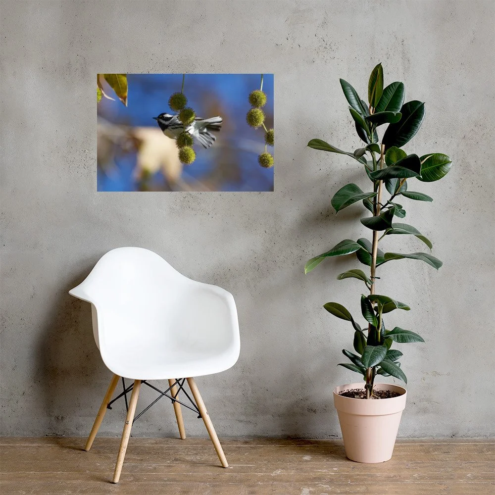 enhanced-matte-paper-poster-(in)-20x30-lifestyle-1-6a3400d847832.jpg