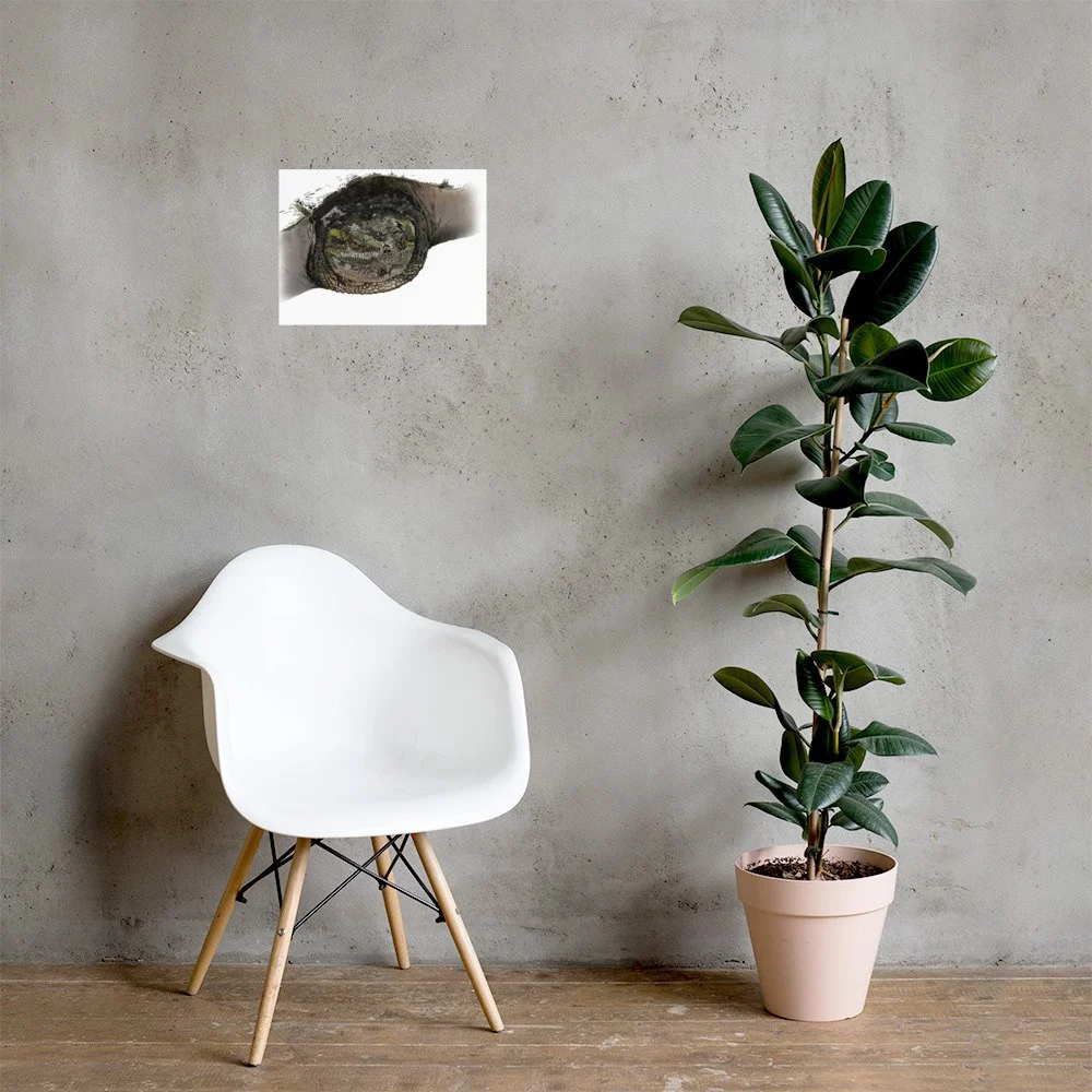 enhanced-matte-paper-poster-(in)-12x16-lifestyle-1-6a353be0a564a.jpg