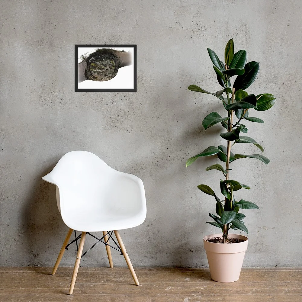 enhanced-matte-paper-framed-poster-(in)-black-12x16-lifestyle-1-6a353c43ecf79.jpg