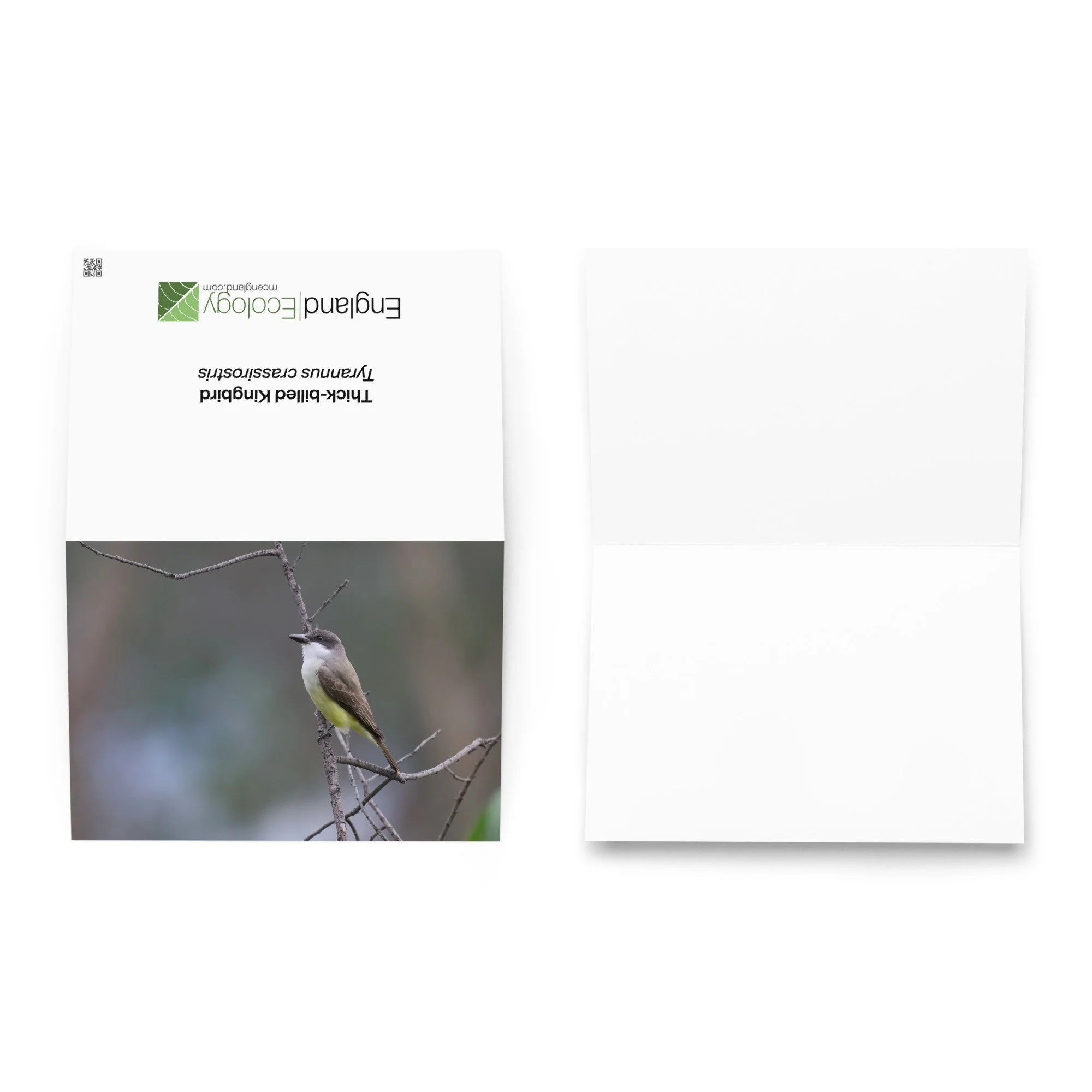 greeting-card-5.83x8.27-front-6a4bb4bdecedc.jpg