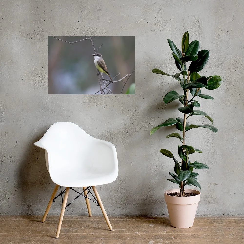 enhanced-matte-paper-poster-(in)-20x30-lifestyle-1-6a4bb541773d4.jpg