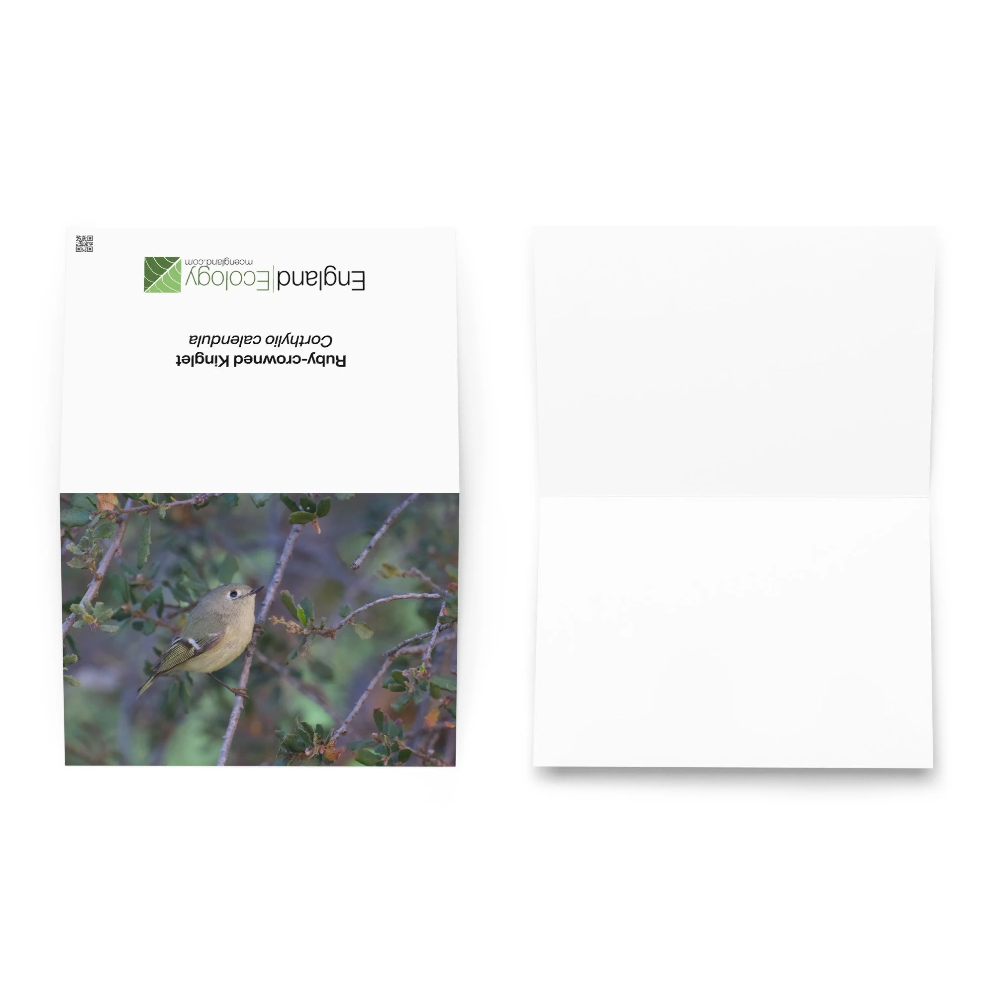 greeting-card-5.83x8.27-front-6a55254c28402.jpg