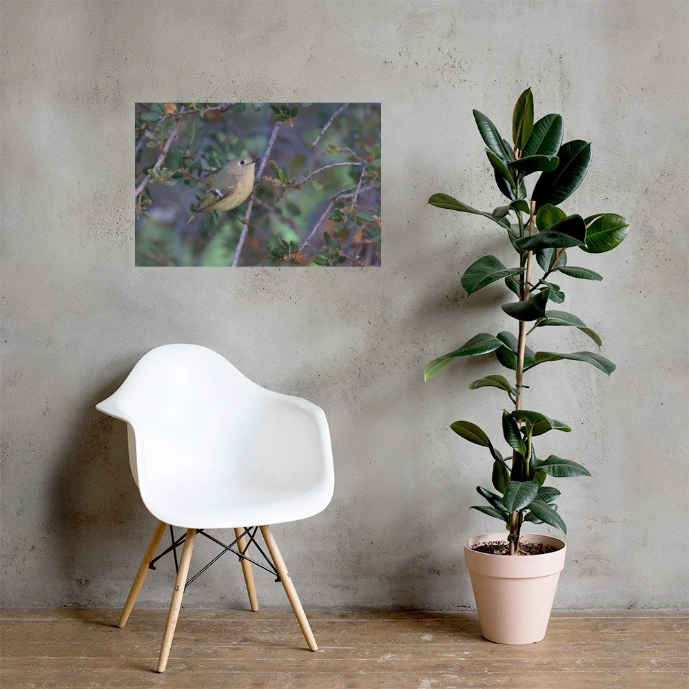 enhanced-matte-paper-poster-(in)-20x30-lifestyle-1-6a5525d7d1a52.jpg