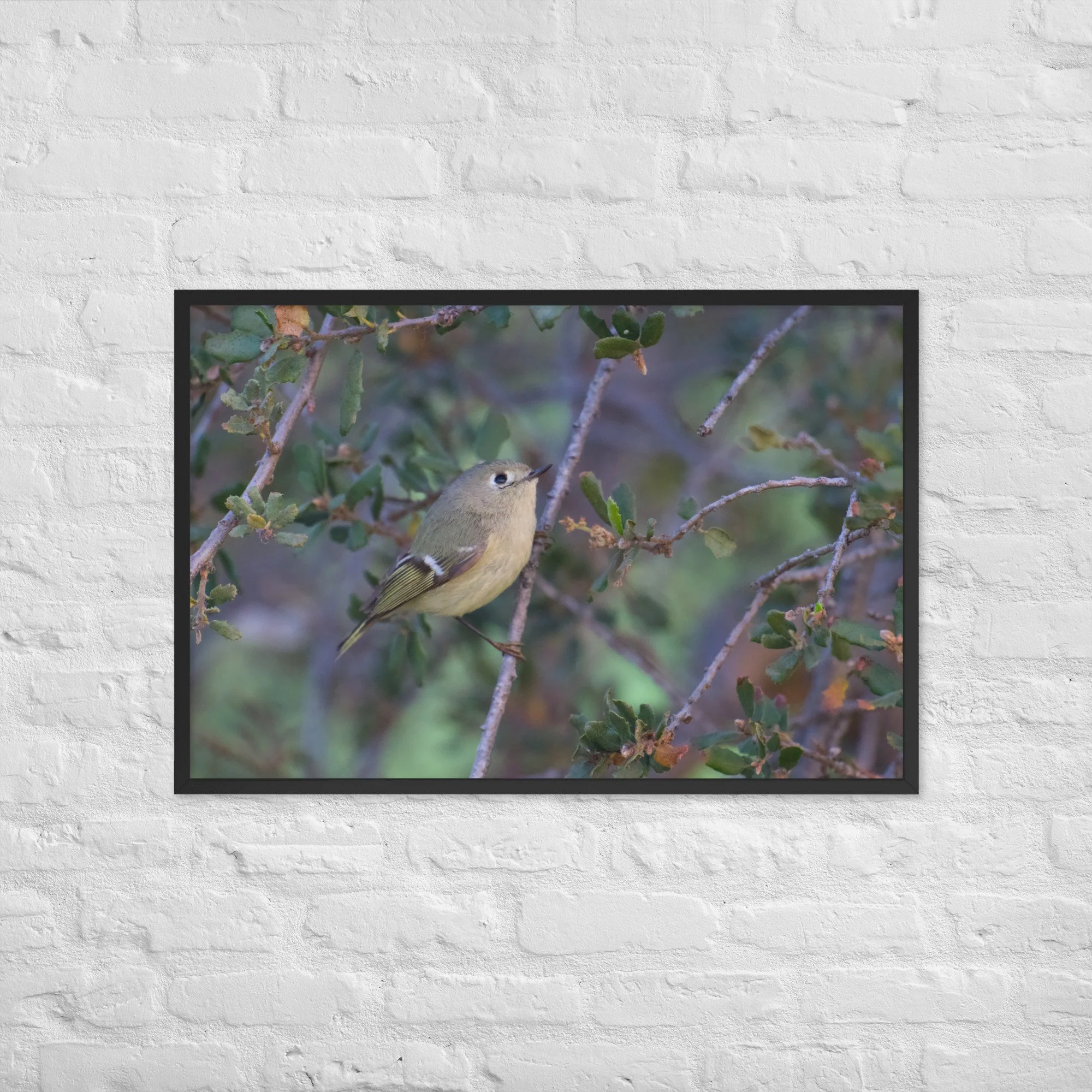 enhanced-matte-paper-framed-poster-(in)-black-24x36-front-6a552678f16f8.jpg
