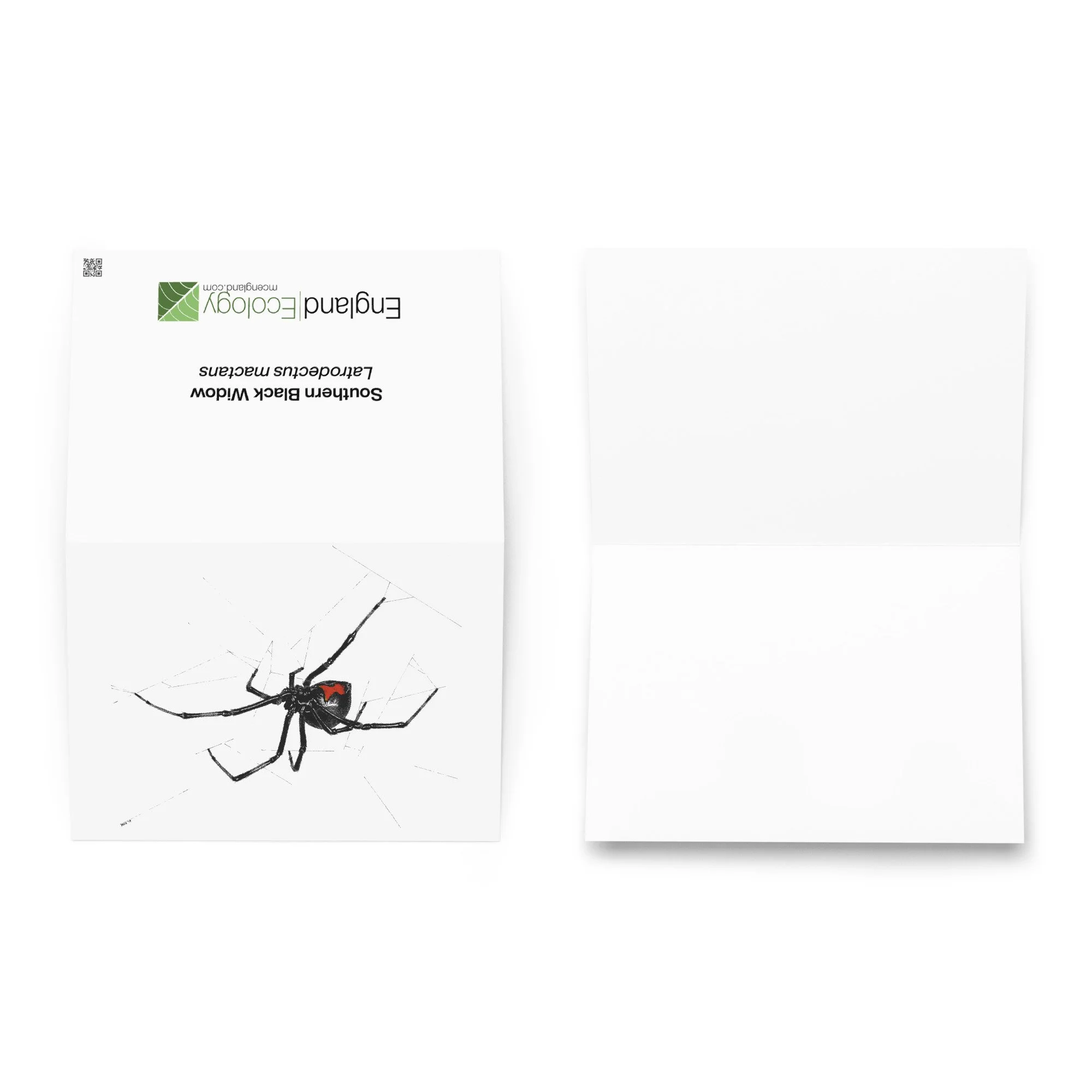 greeting-card-5.83x8.27-front-6a56524599c00.jpg