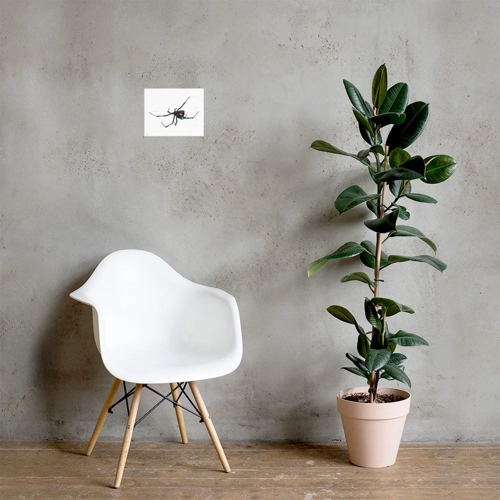 enhanced-matte-paper-poster-(in)-8x10-lifestyle-1-6a565300666c2.jpg