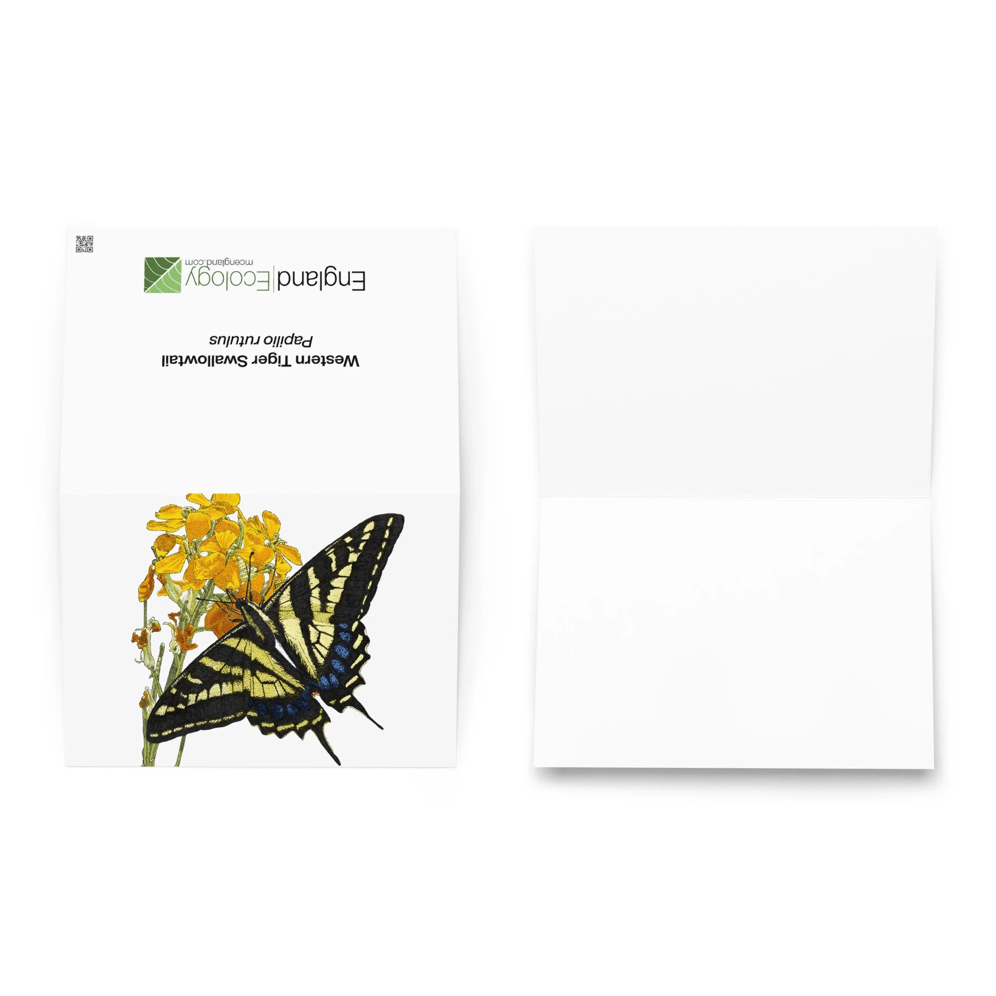 greeting-card-5.83x8.27-front-6a591288b2aa5.jpg