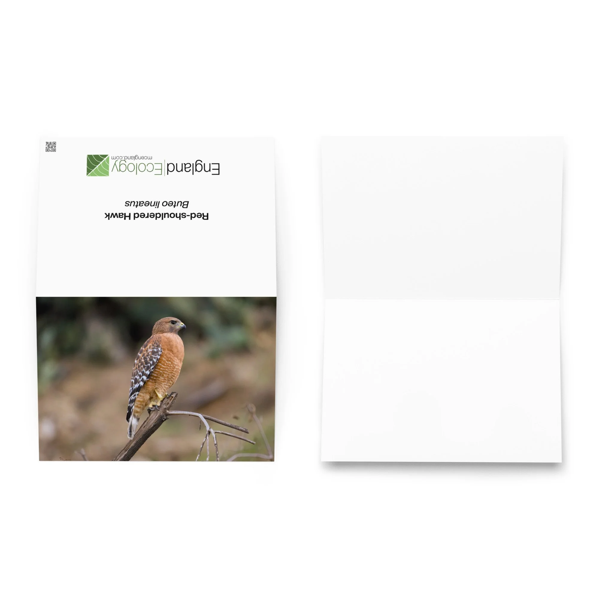 greeting-card-5.83x8.27-front-6a610575eb0d2.jpg