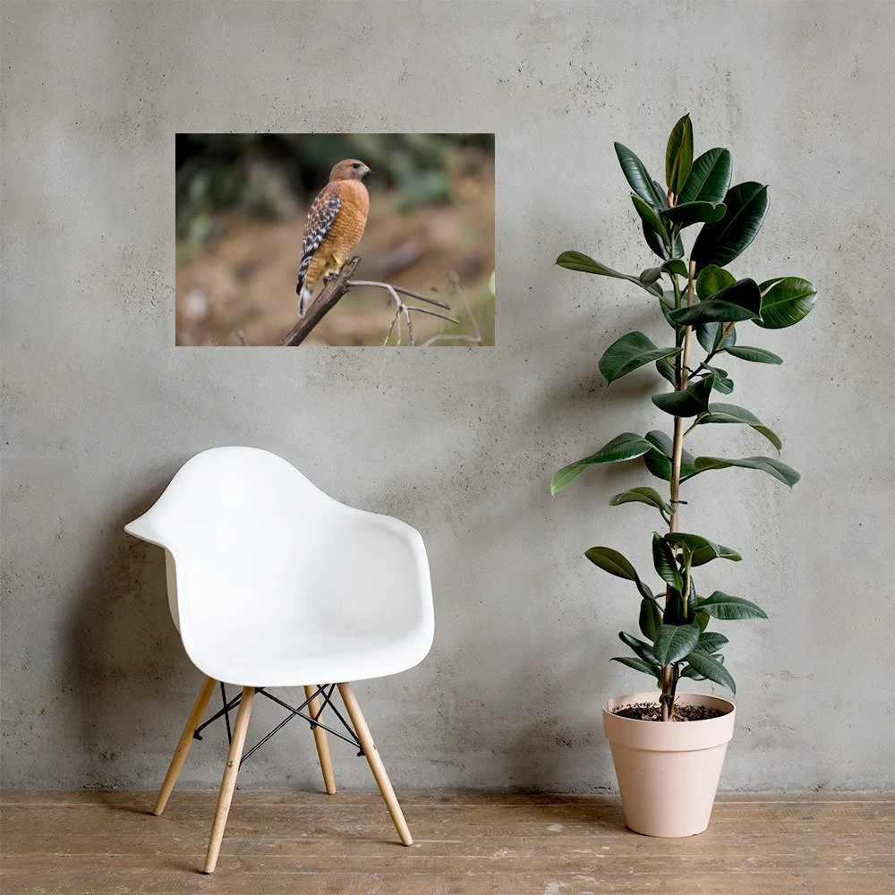 enhanced-matte-paper-poster-(in)-20x30-lifestyle-1-6a6105ffdb17d.jpg