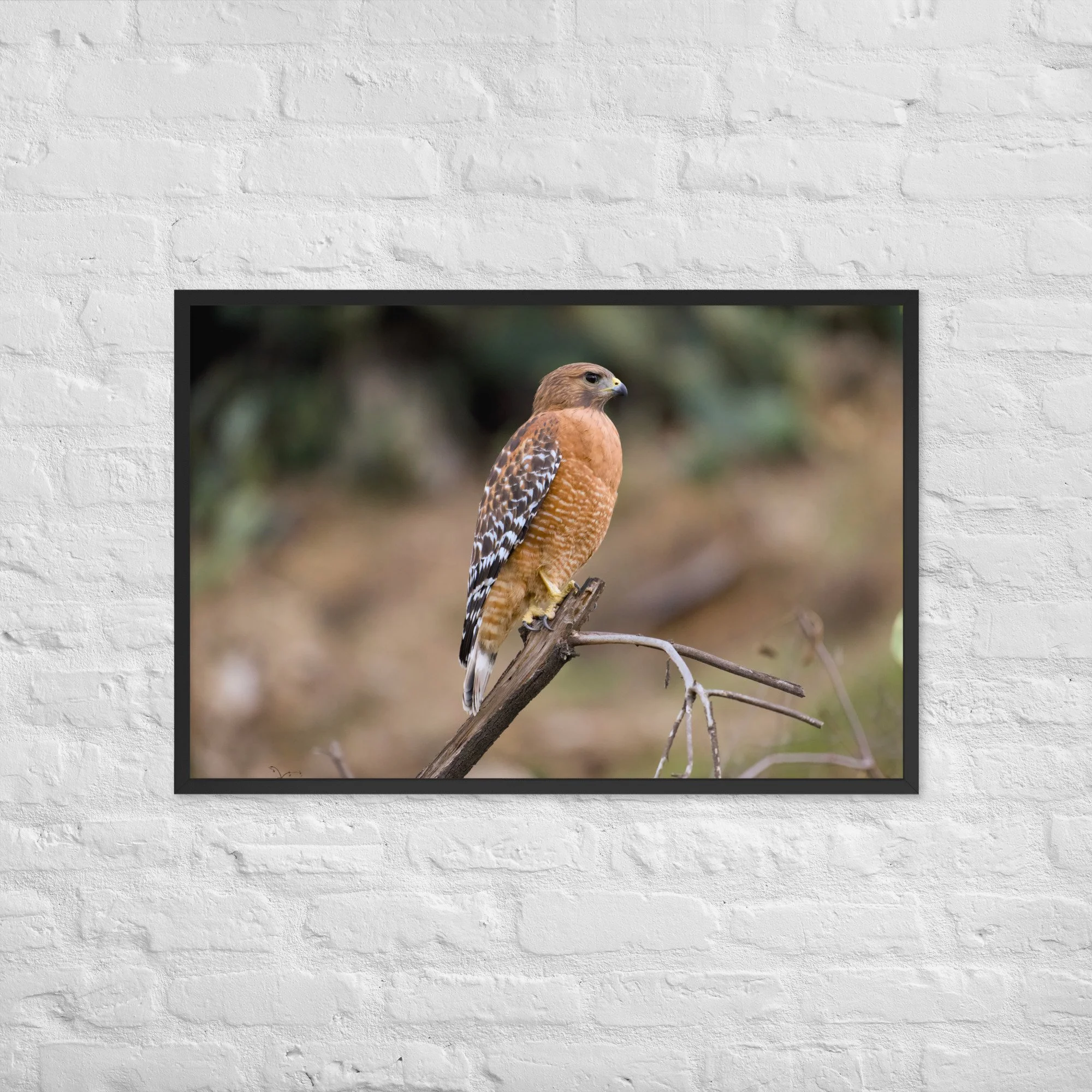 enhanced-matte-paper-framed-poster-(in)-black-24x36-front-6a6106711a95a.jpg