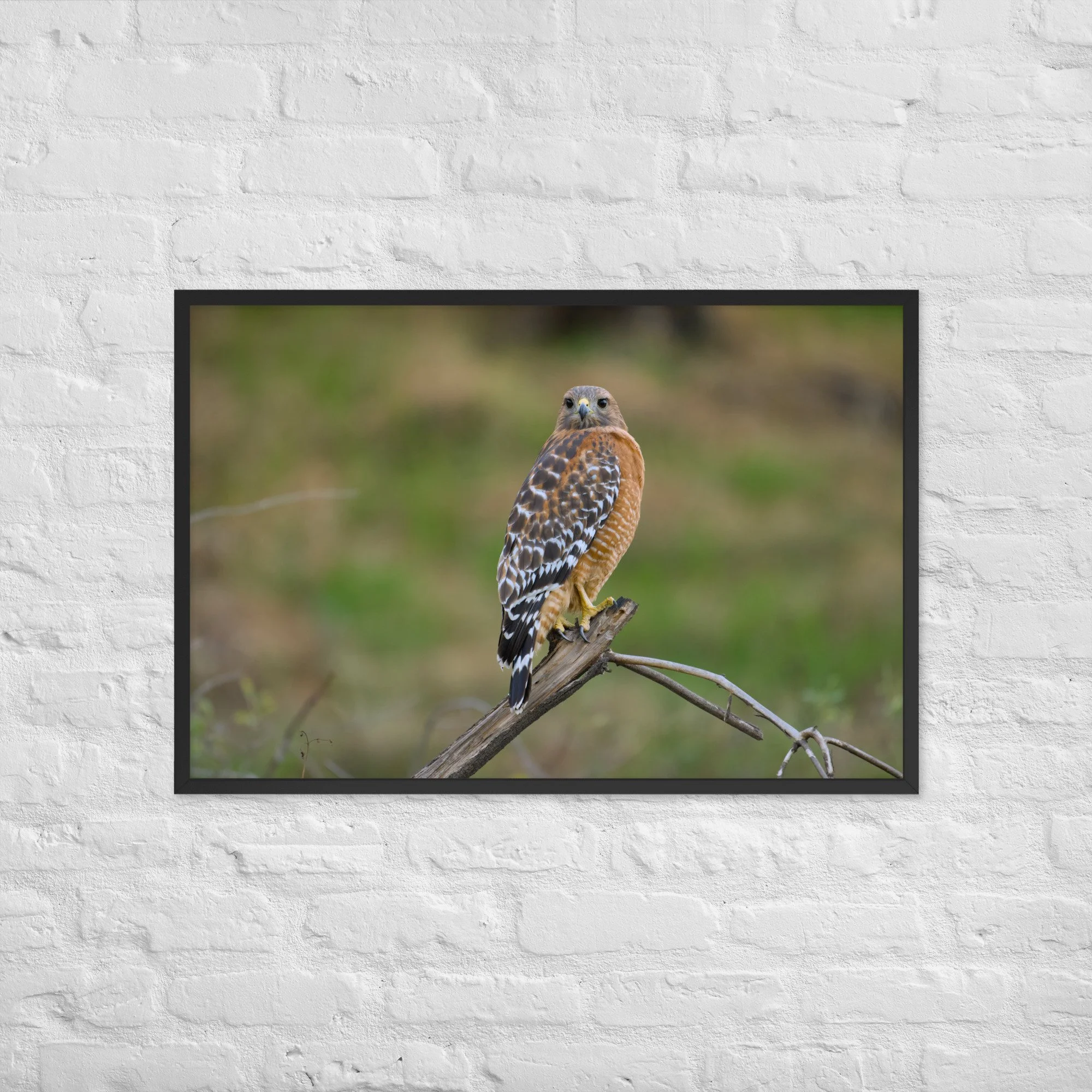 enhanced-matte-paper-framed-poster-(in)-black-24x36-front-6a6373006837f.jpg