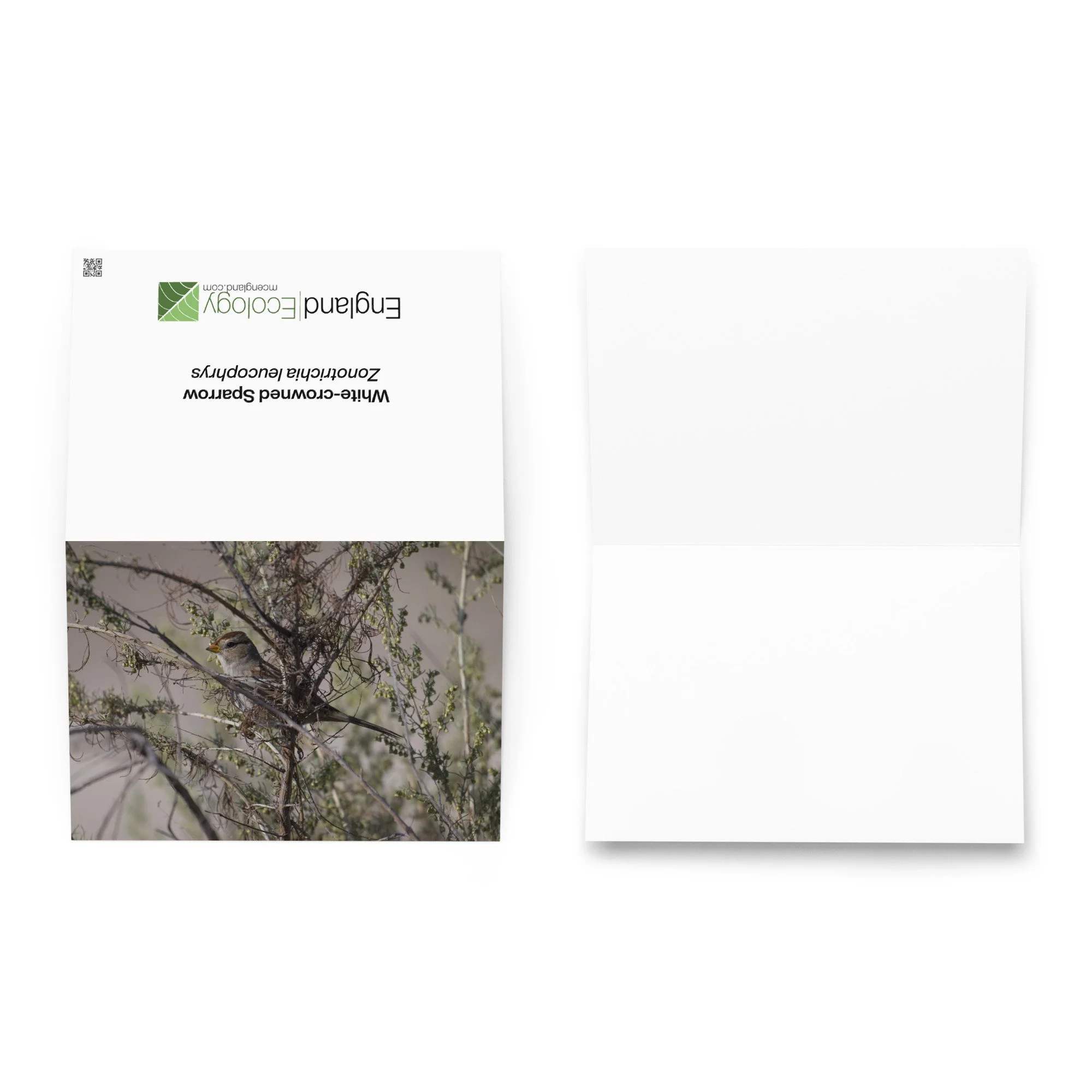 greeting-card-5.83x8.27-front-6a674ae213e7b.jpg