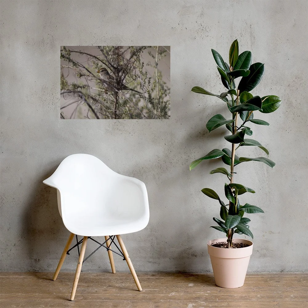 enhanced-matte-paper-poster-(in)-20x30-lifestyle-1-6a674b8cc3418.jpg