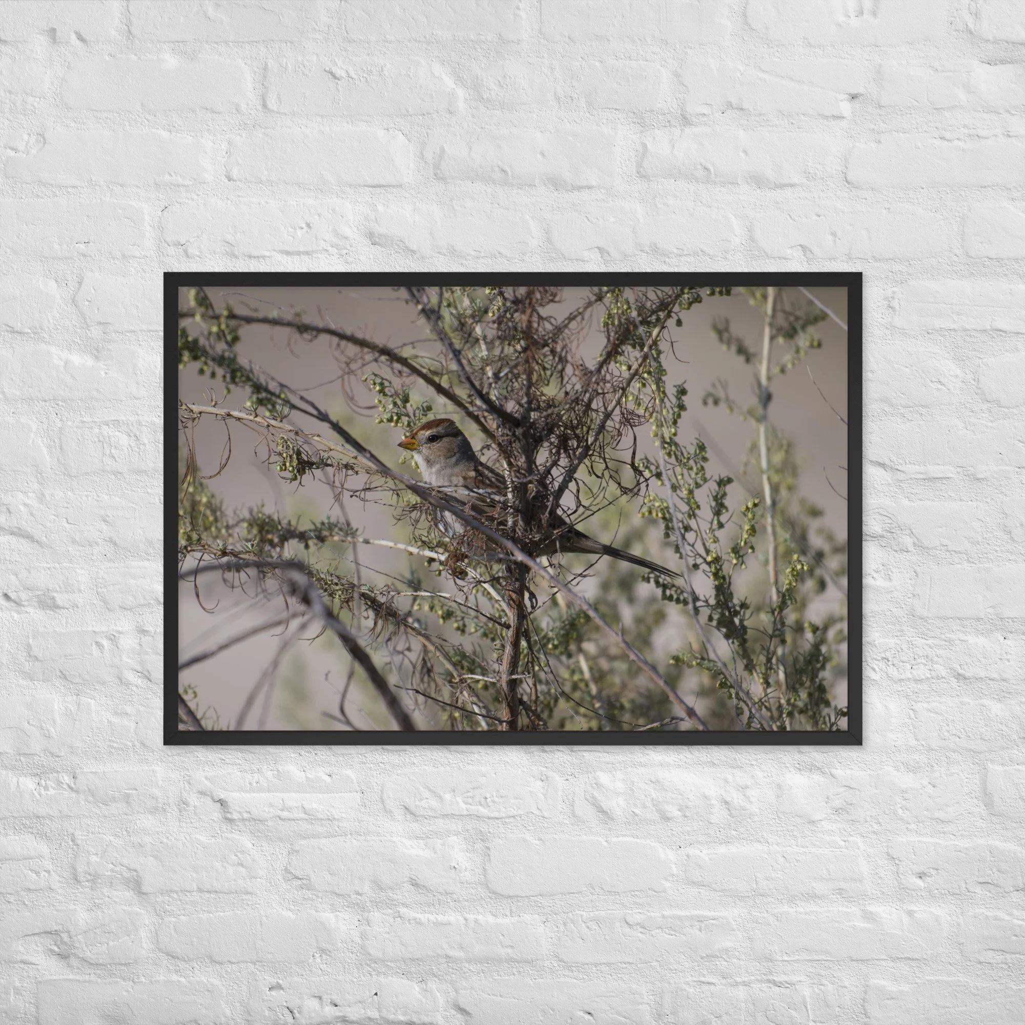 enhanced-matte-paper-framed-poster-(in)-black-24x36-front-6a674c2be1863.jpg
