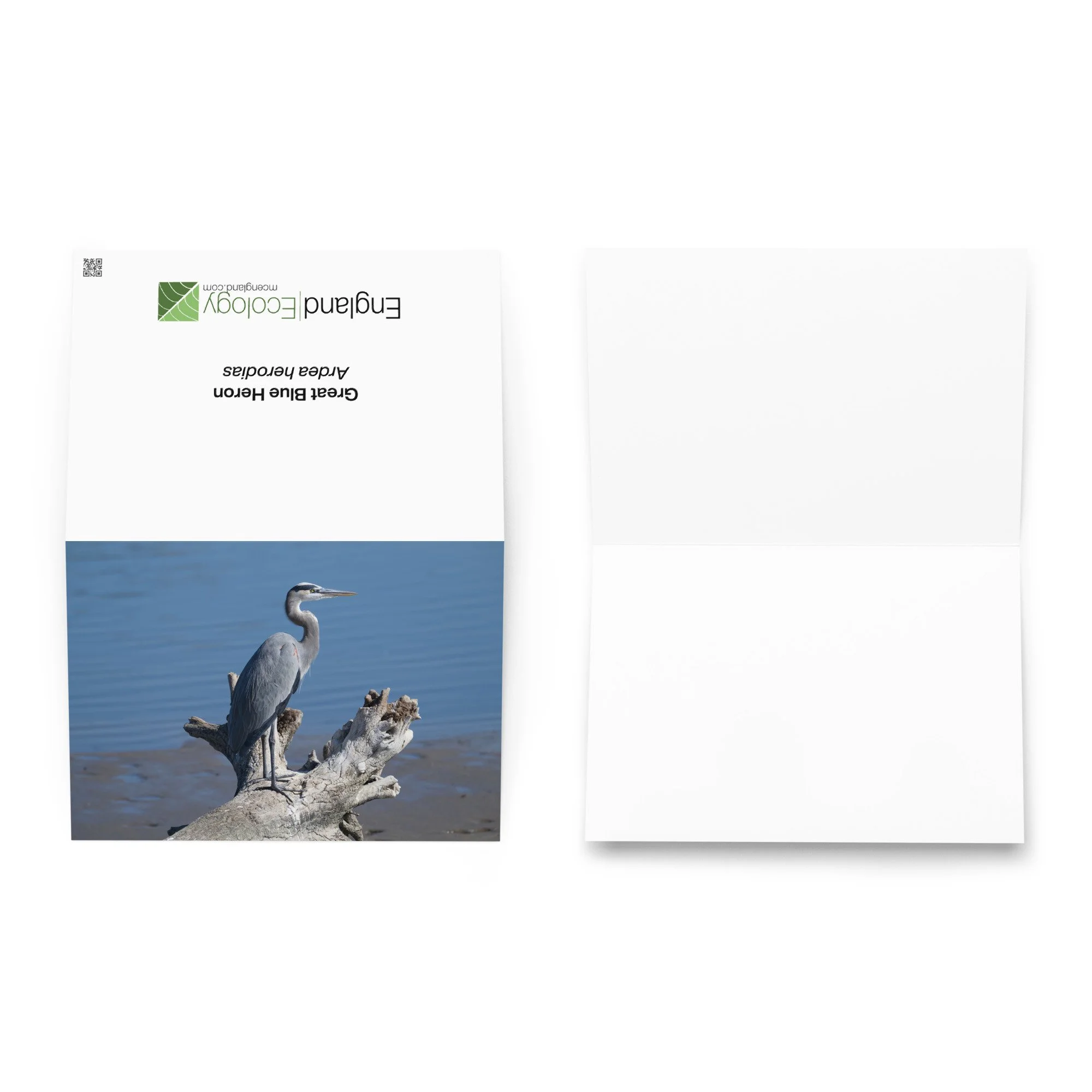 greeting-card-5.83x8.27-front-6a6a27a7ef4a7.jpg