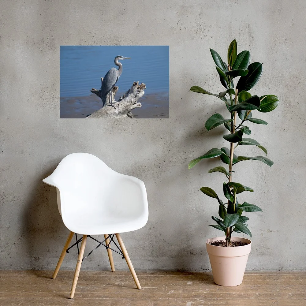 enhanced-matte-paper-poster-(in)-20x30-lifestyle-1-6a6a281d27546.jpg