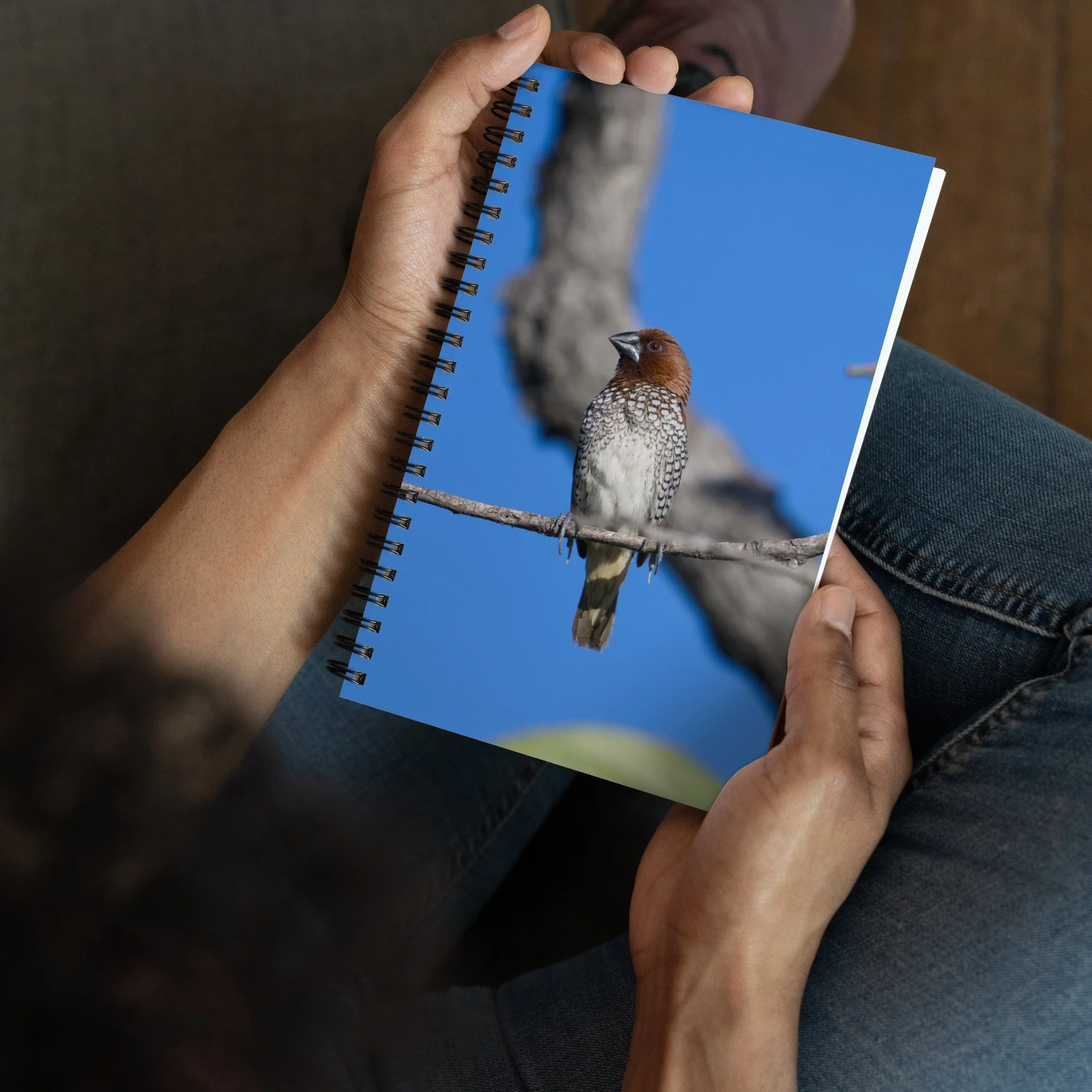 spiral-notebook-dotted-front-6a8f2fef700e0.jpg