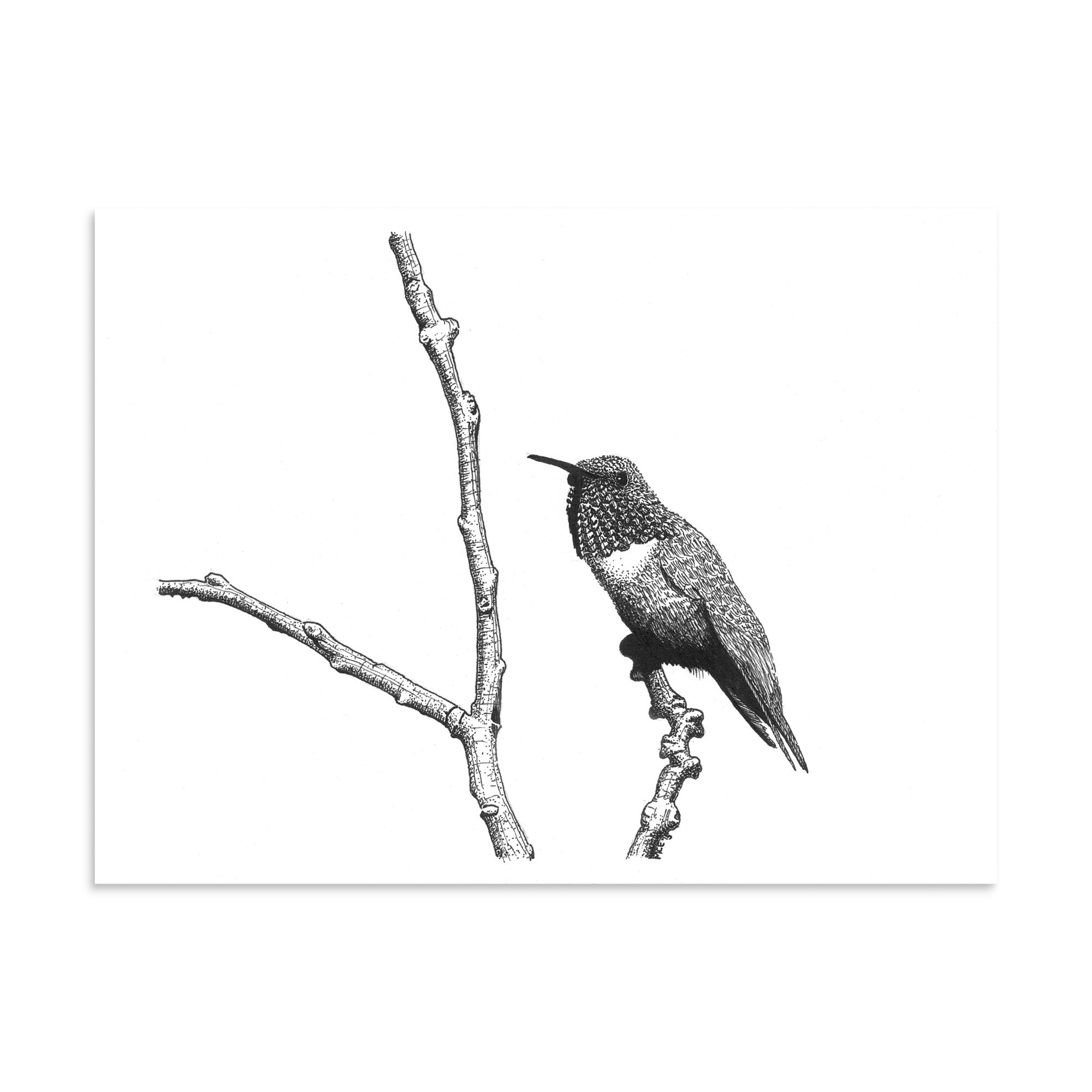 enhanced-matte-paper-poster-(in)-6x8-front-6a90669b631cc.jpg