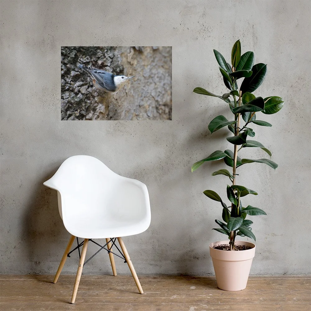 enhanced-matte-paper-poster-(in)-20x30-lifestyle-1-6a91b99ac08a1.jpg