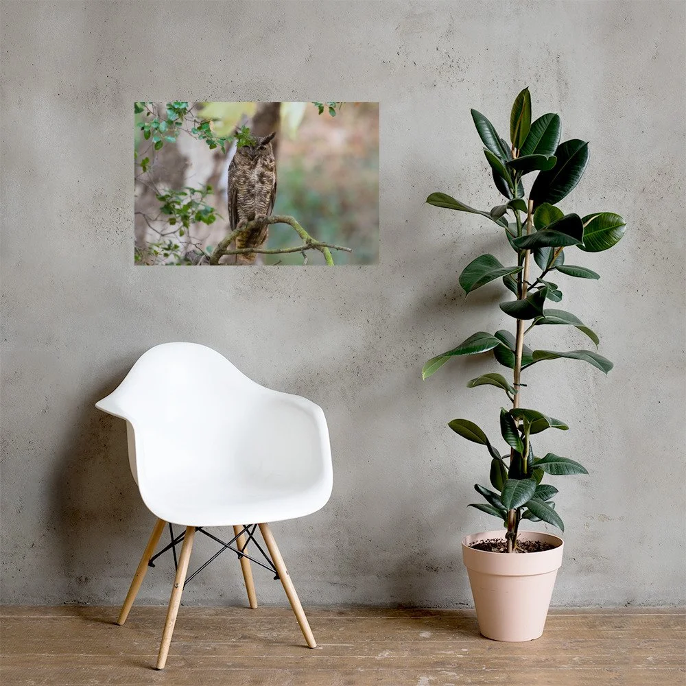enhanced-matte-paper-poster-(in)-20x30-lifestyle-1-6a95dbff59631.jpg