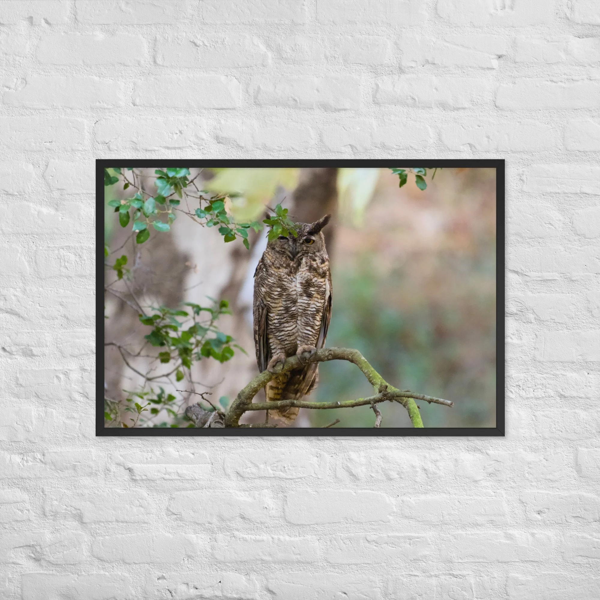 enhanced-matte-paper-framed-poster-(in)-black-24x36-front-6a95dc7f6a7ef.jpg