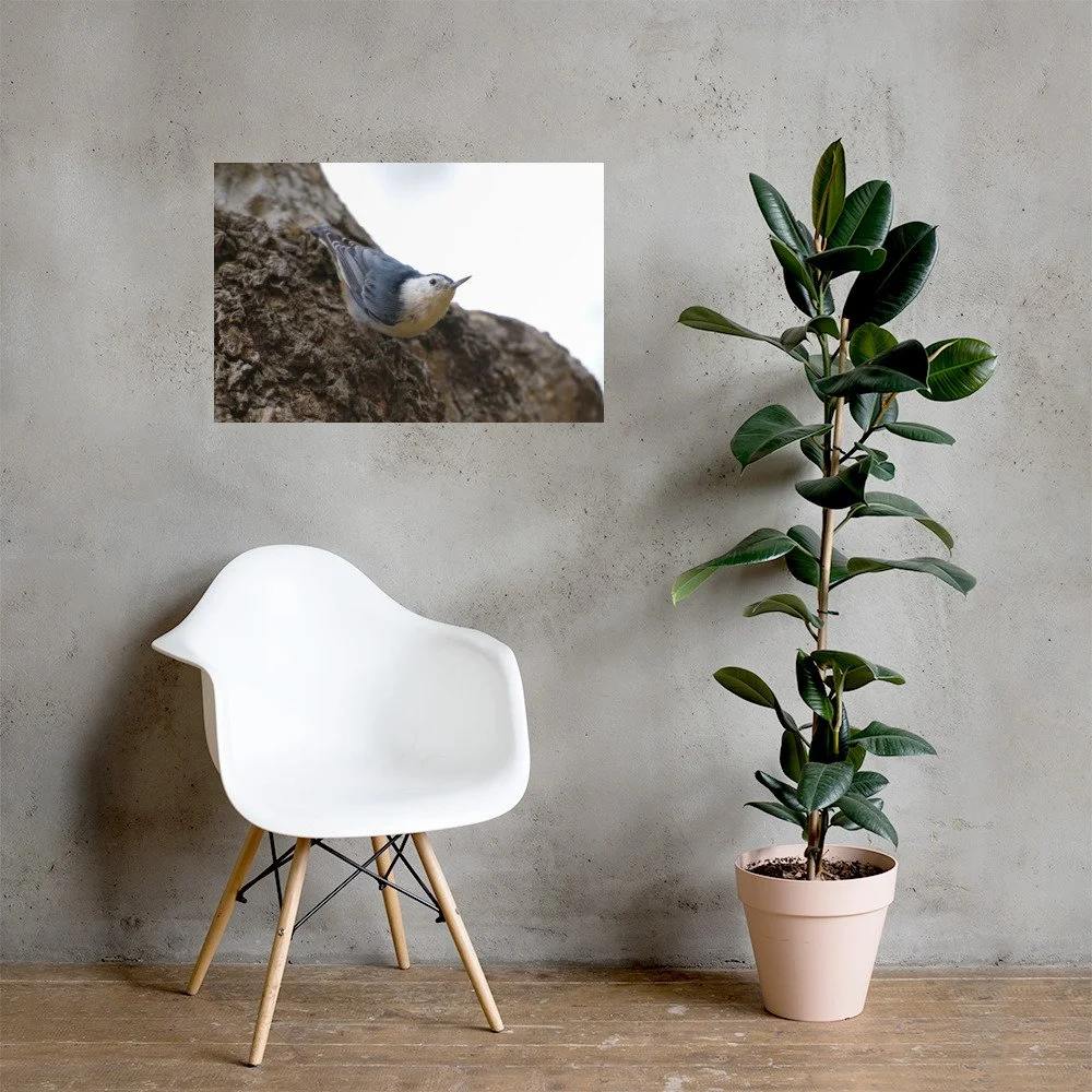 enhanced-matte-paper-poster-(in)-20x30-lifestyle-1-6a9869f5c480a.jpg