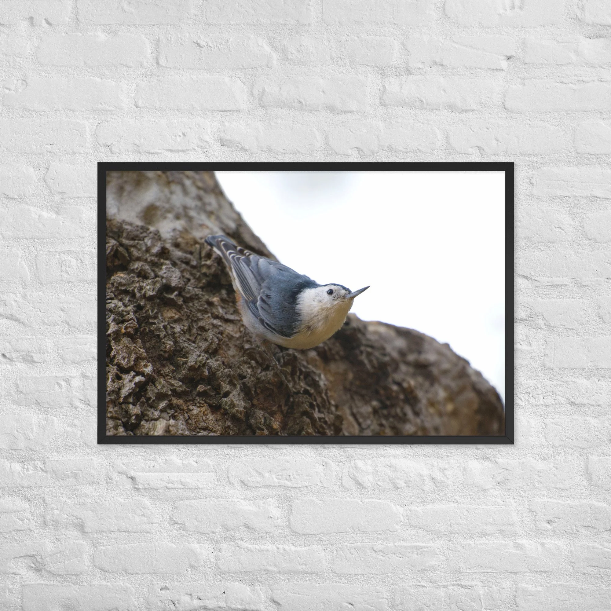 enhanced-matte-paper-framed-poster-(in)-black-24x36-front-6a986a6deb9fe.jpg